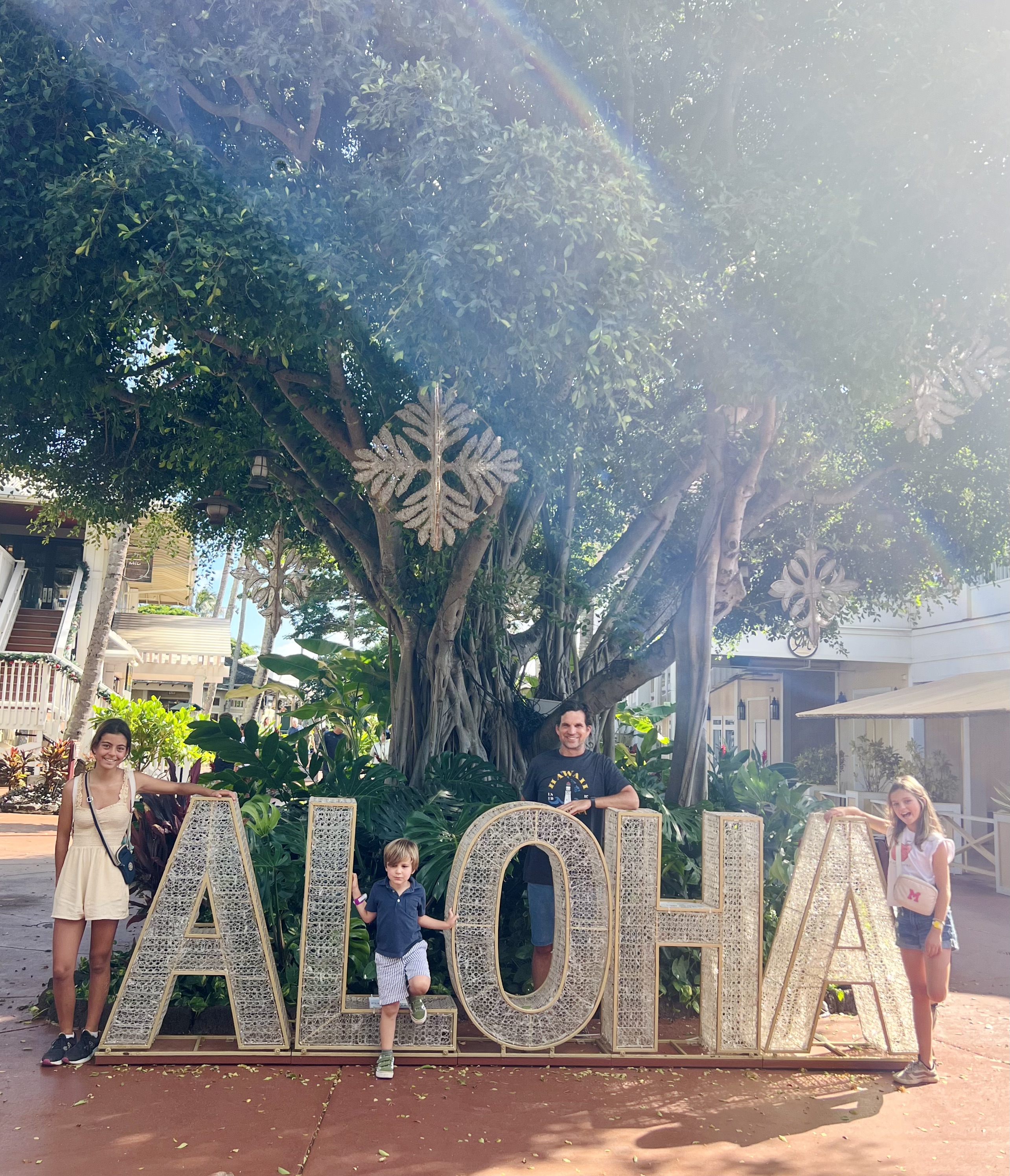 Img: tree, potted plant, urban, city, female, girl, person, teen, handbag, street