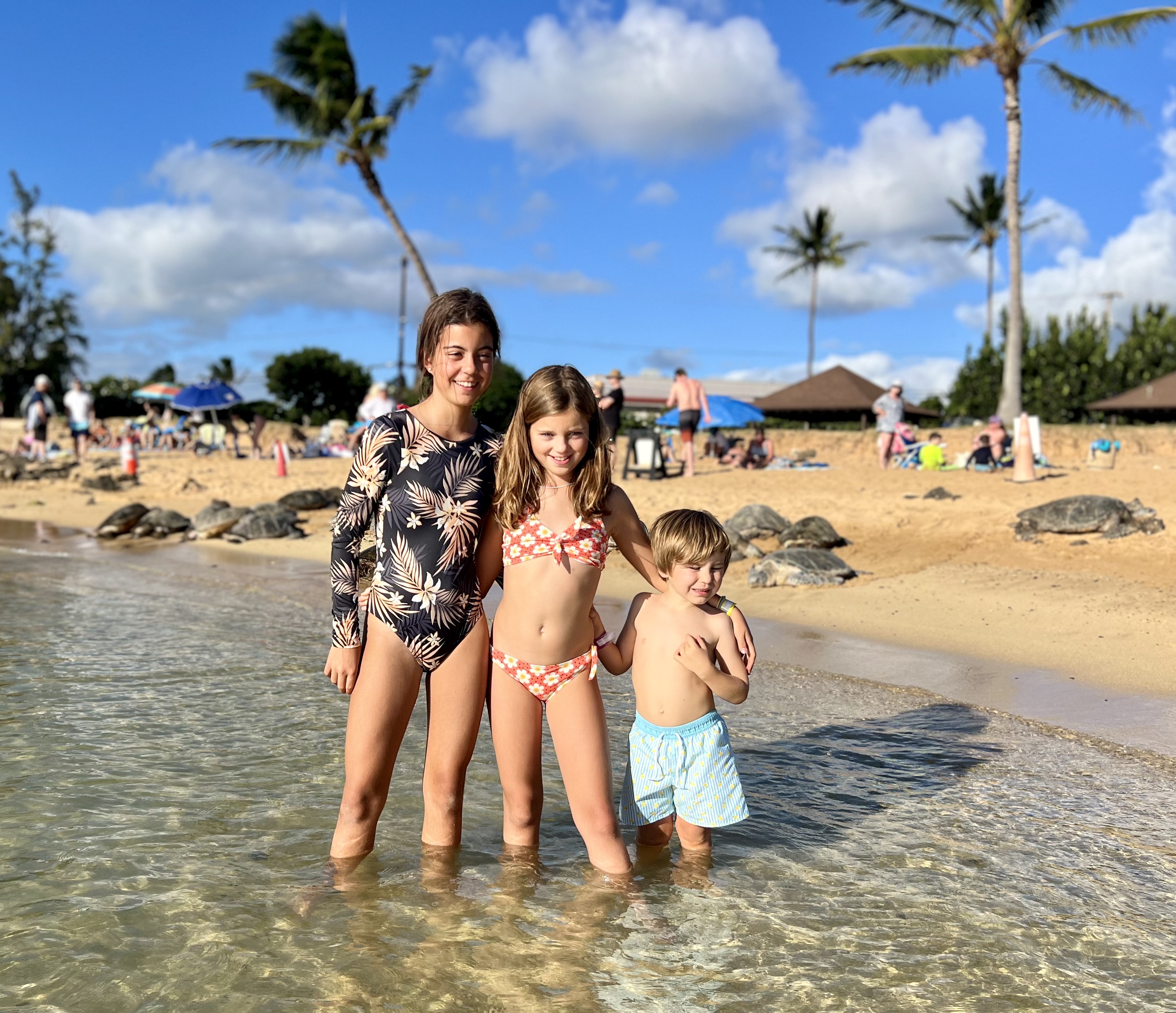 Img: summer, swimwear, palm tree, tree, beach, nature, sea, bikini, shorts, vacation