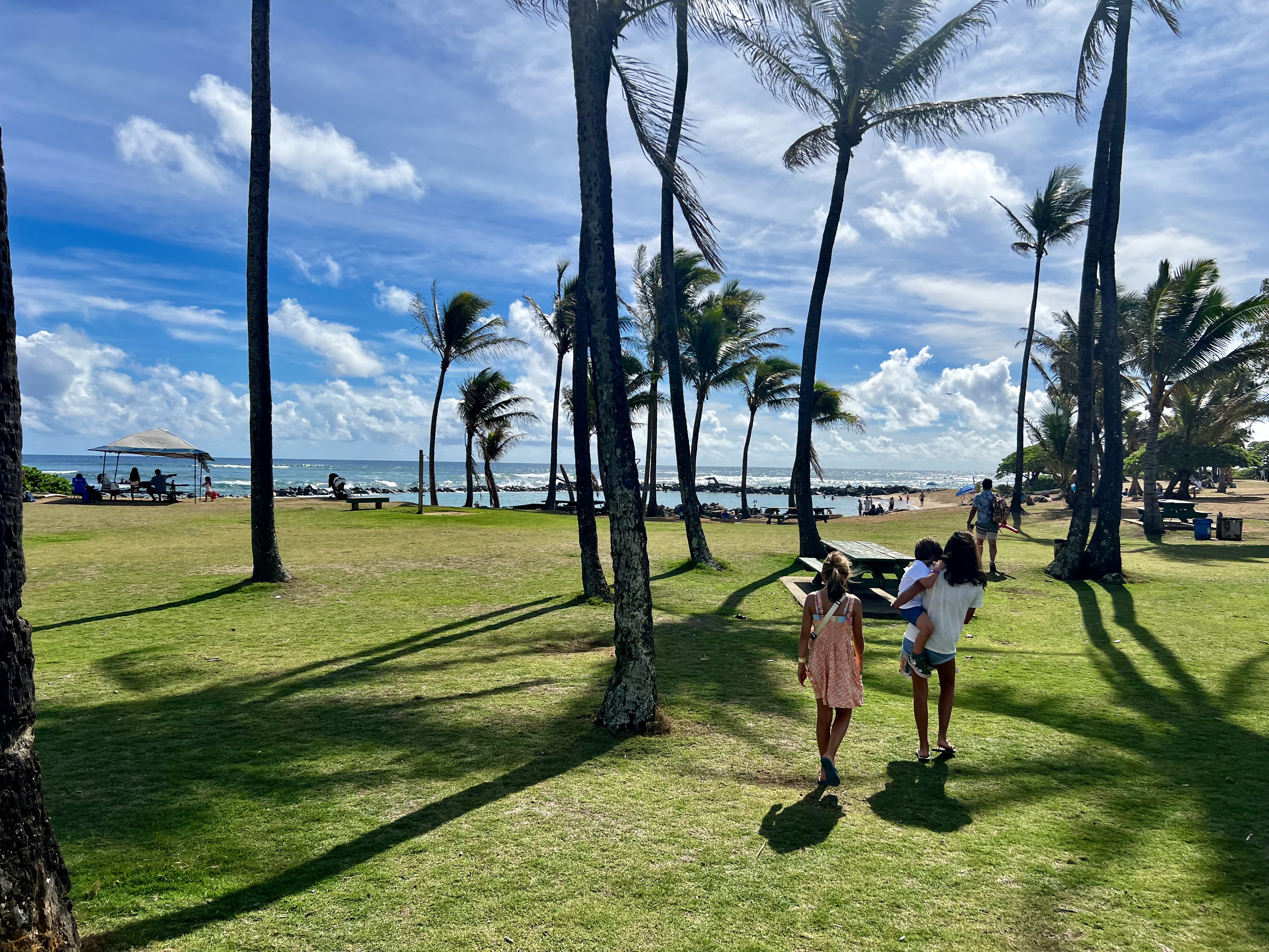 Img: summer, grass, person, shoe, bench, handbag, tree, sky, tent, palm tree