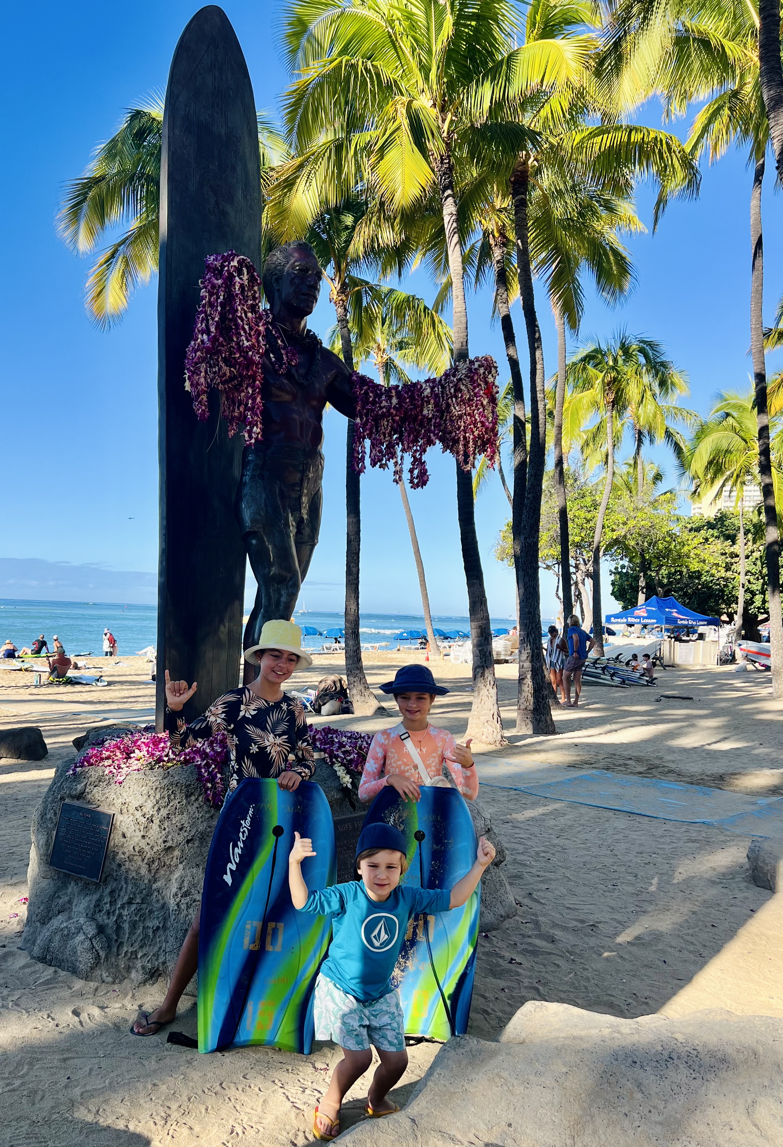 Img: summer, palm tree, tree, adult, female, person, woman, sea, beach, portrait