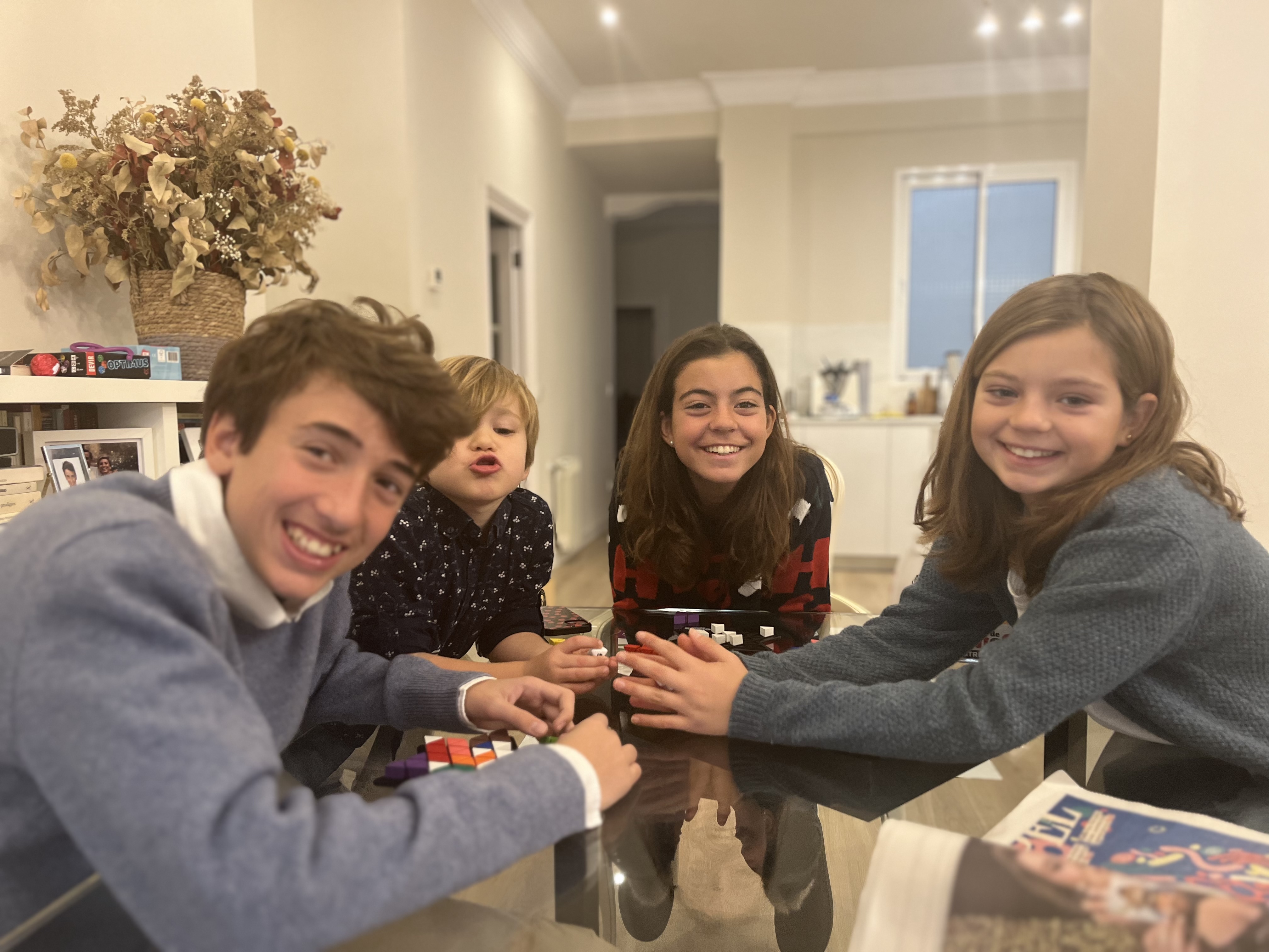 Img: potted plant, people, person, table, face, head, smile, dining table, living room, photography