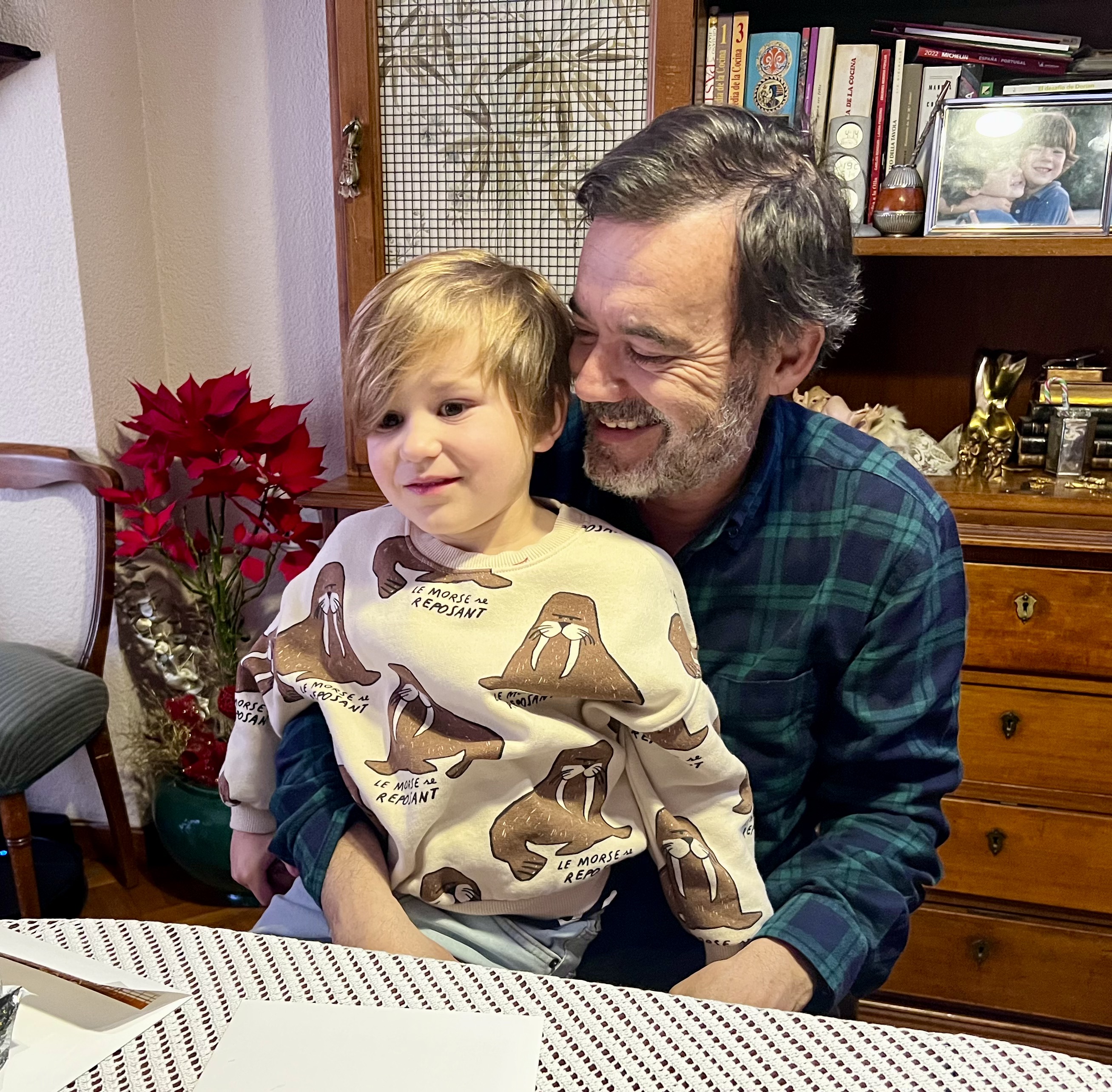 Img: potted plant, photography, portrait, interior design, cabinet, furniture, couch, glasses, blouse, table