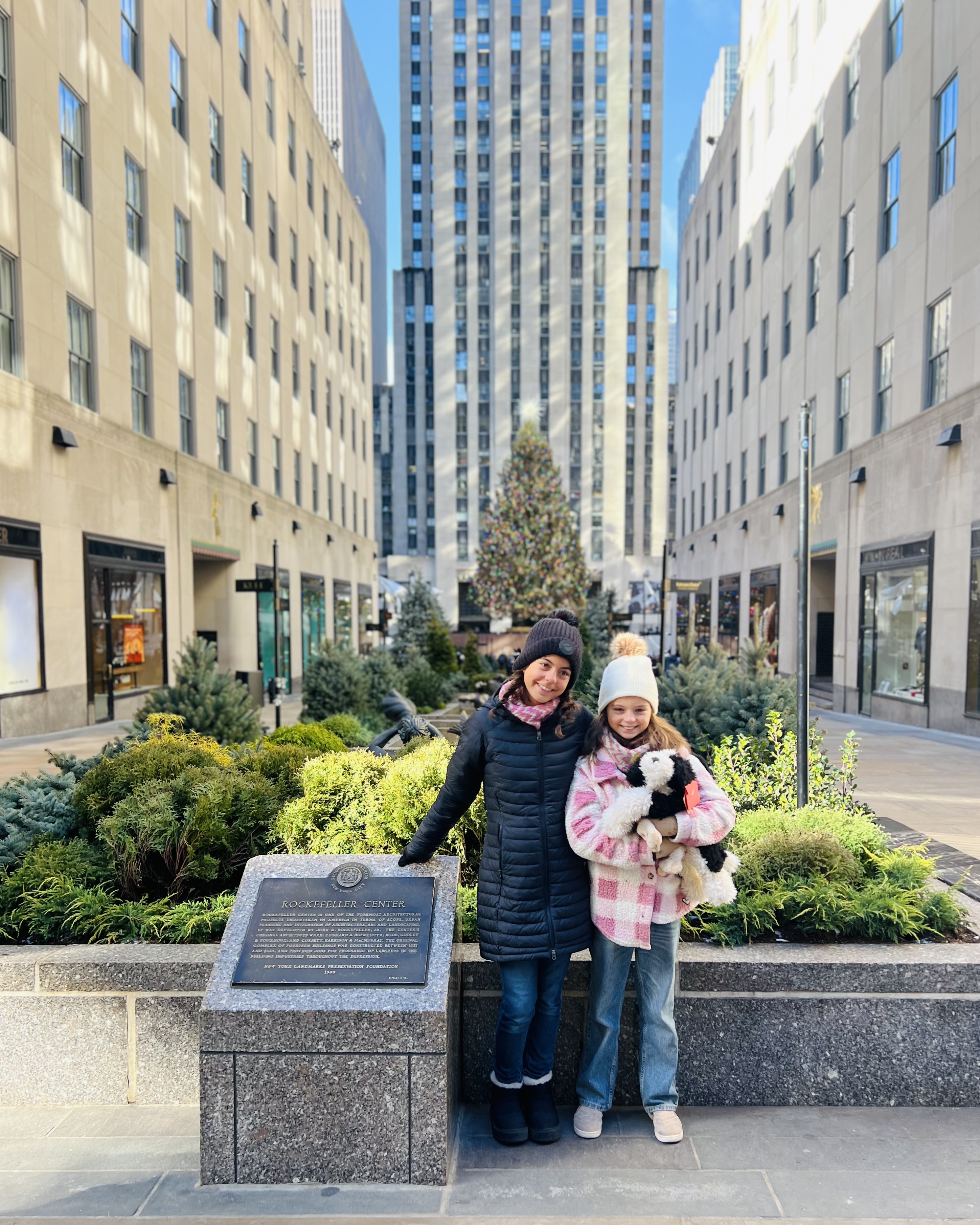 Img: pants, city, neighborhood, portrait, urban, street, jeans, office building, potted plant, tree