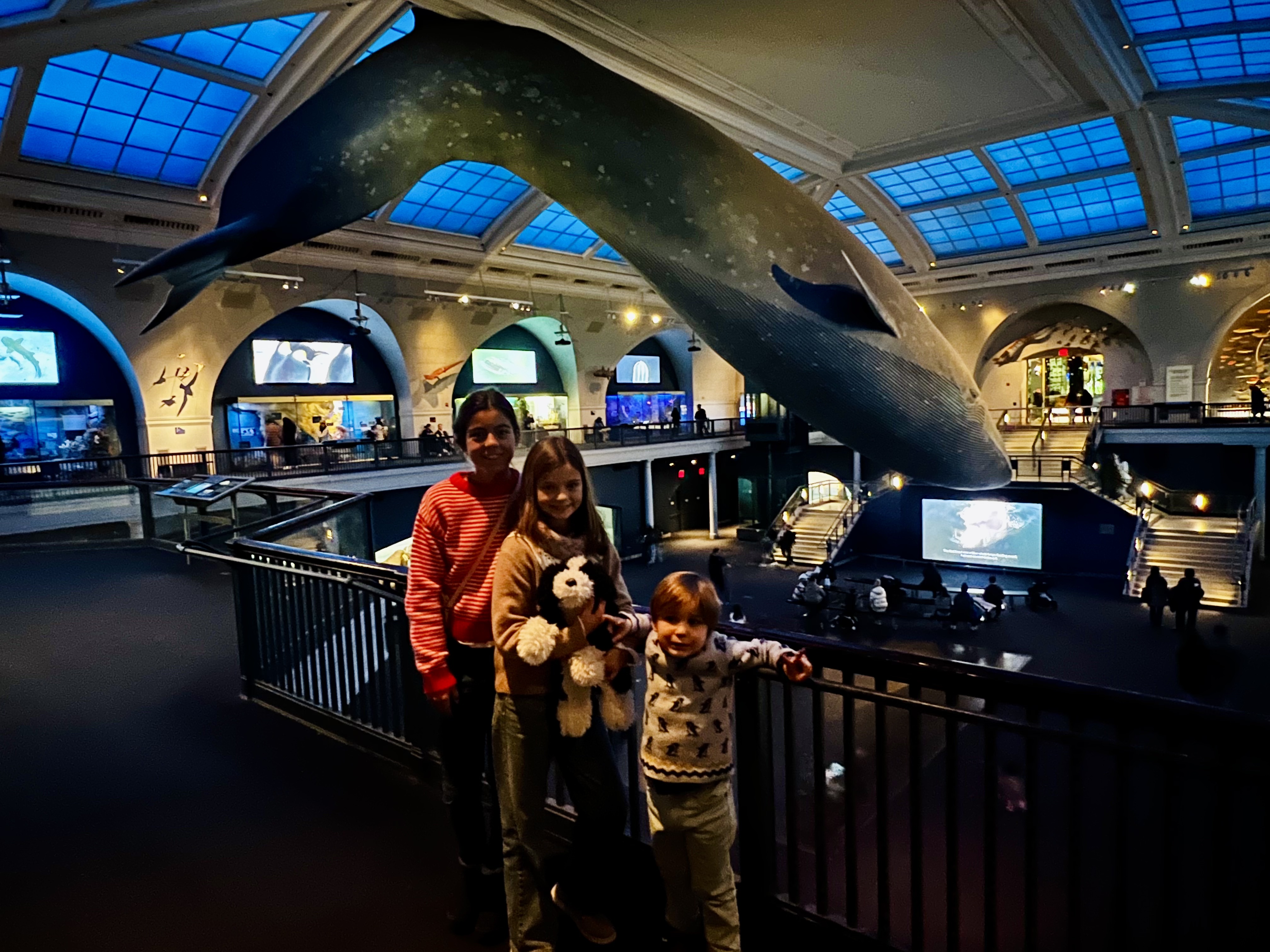 Img: indoors, museum, shoe, adult, female, person, woman, boy, child, male