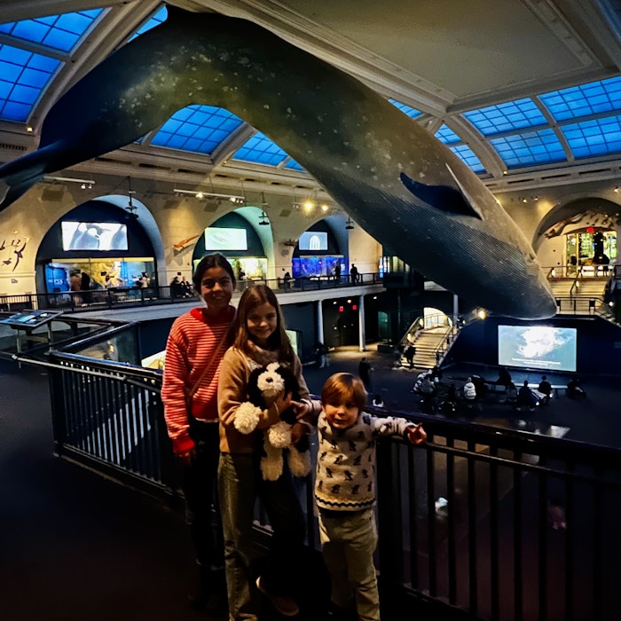 Img: indoors, museum, shoe, adult, female, person, woman, boy, child, male