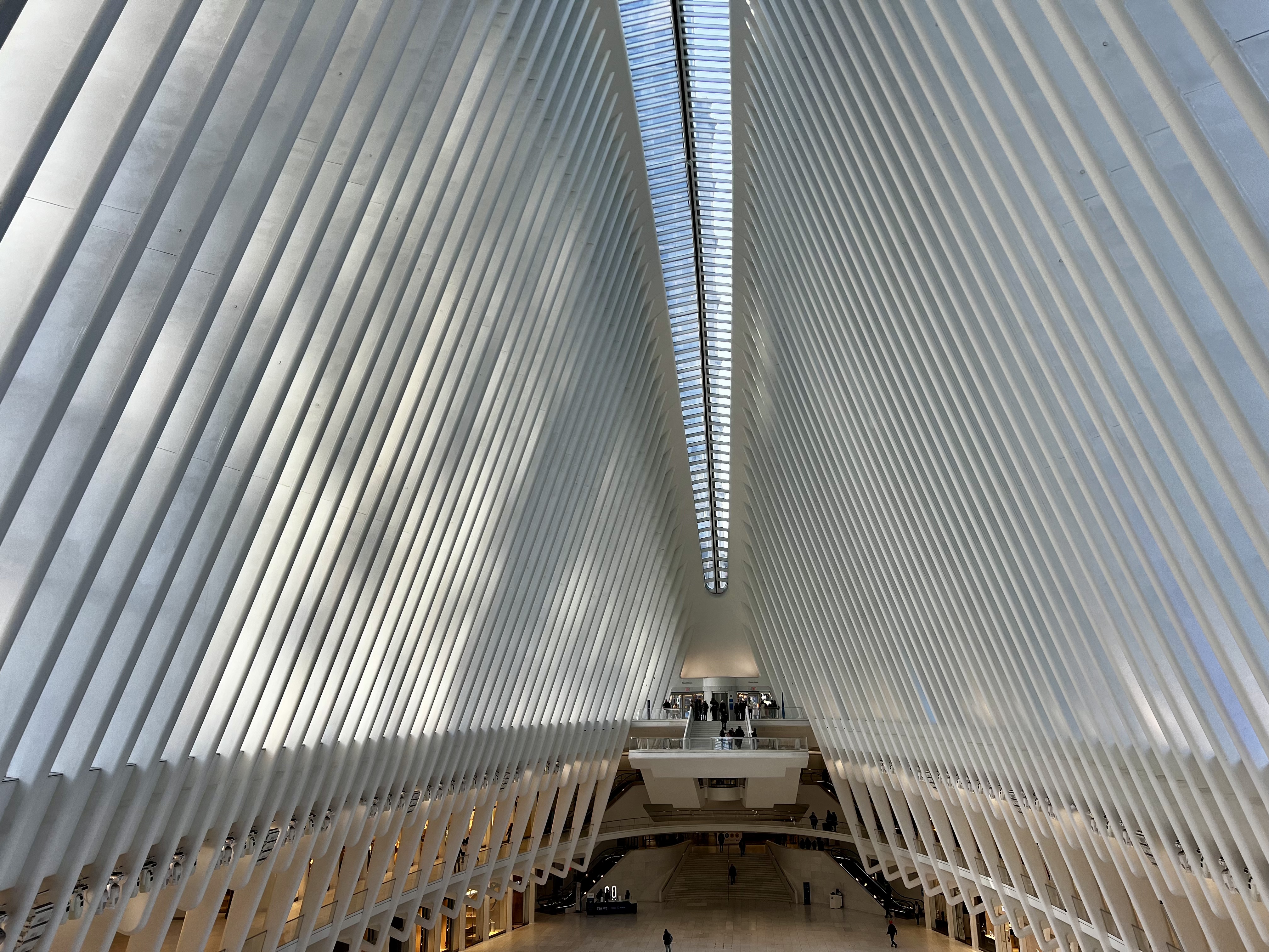 Img: indoors, interior design, person, arch, terminal, shelter, office building, floor, corridor, vault ceiling