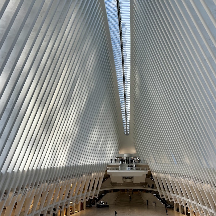 Img: indoors, interior design, person, arch, terminal, shelter, office building, floor, corridor, vault ceiling