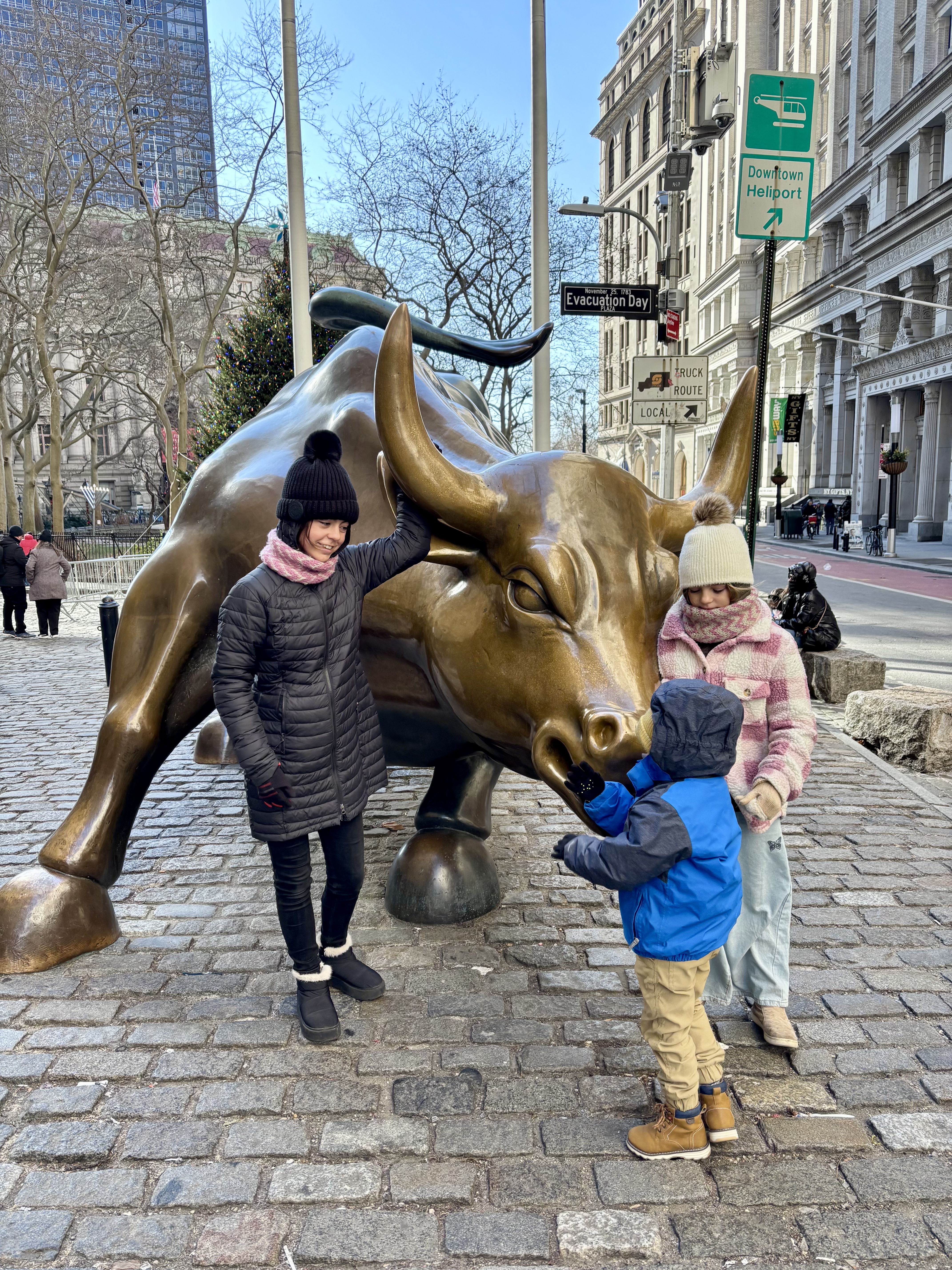 Img 2065: path, pants, road, coat, glove, bull, person, boy, child, male