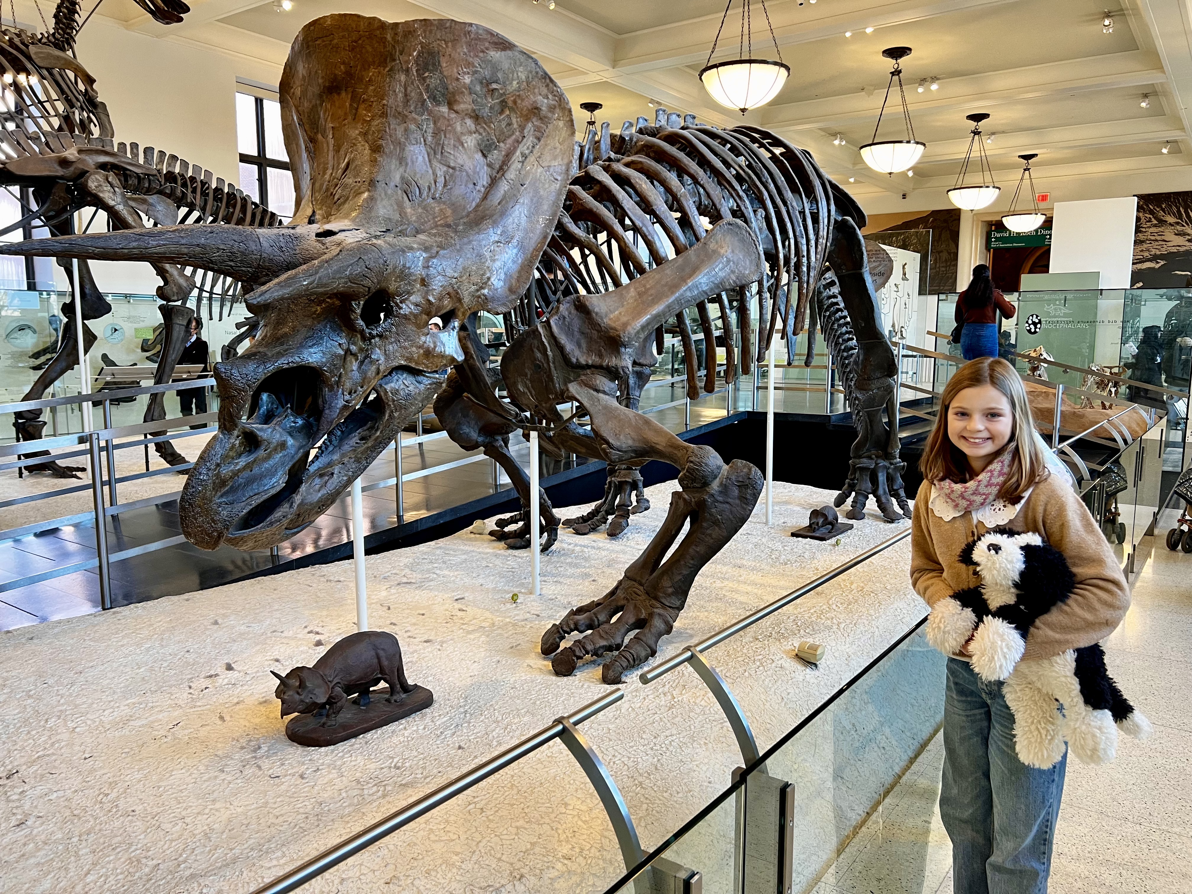 Img: architecture, building, indoors, museum, person, animal, dinosaur, reptile, mammal, pig