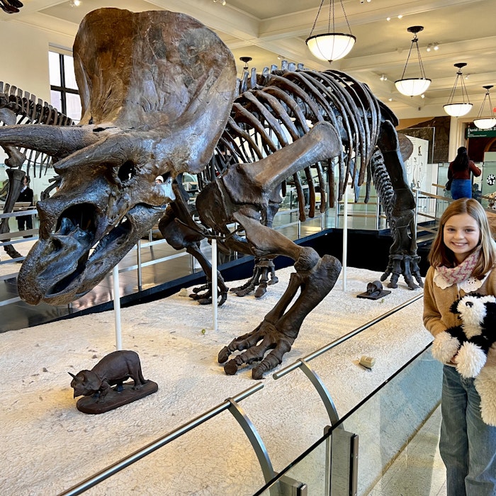 Img: architecture, building, indoors, museum, person, animal, dinosaur, reptile, mammal, pig