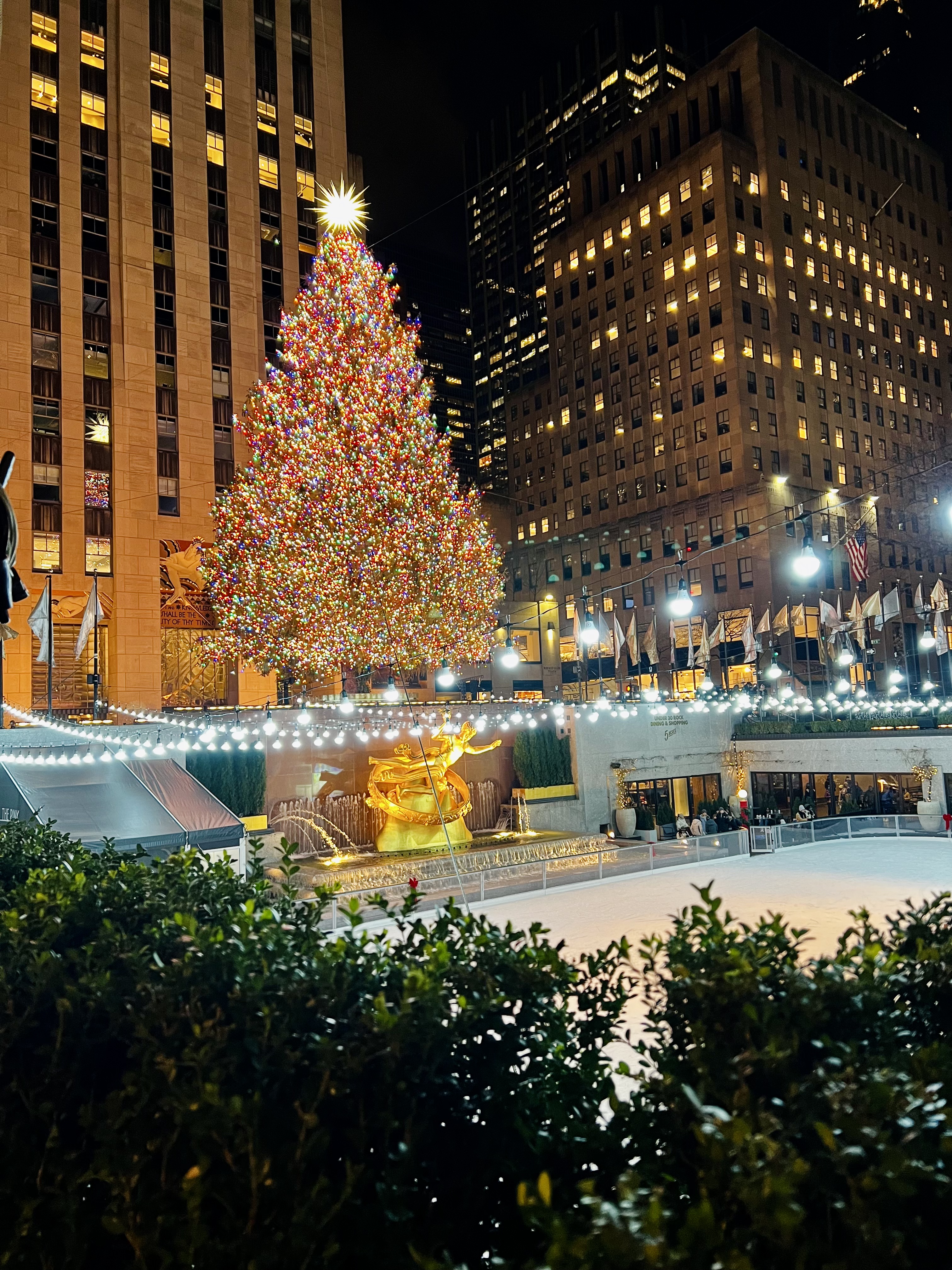 Img: christmas, christmas decorations, festival, christmas tree, person