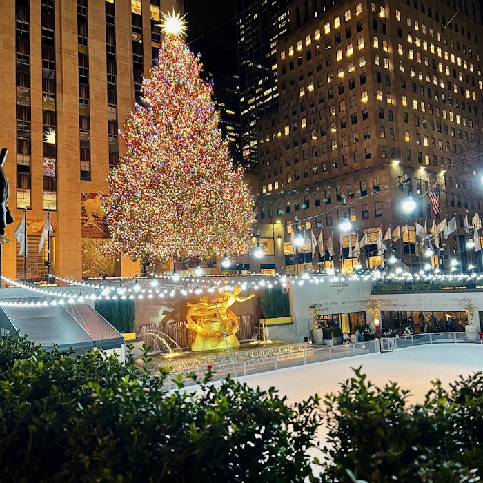 Img: christmas, christmas decorations, festival, christmas tree, person