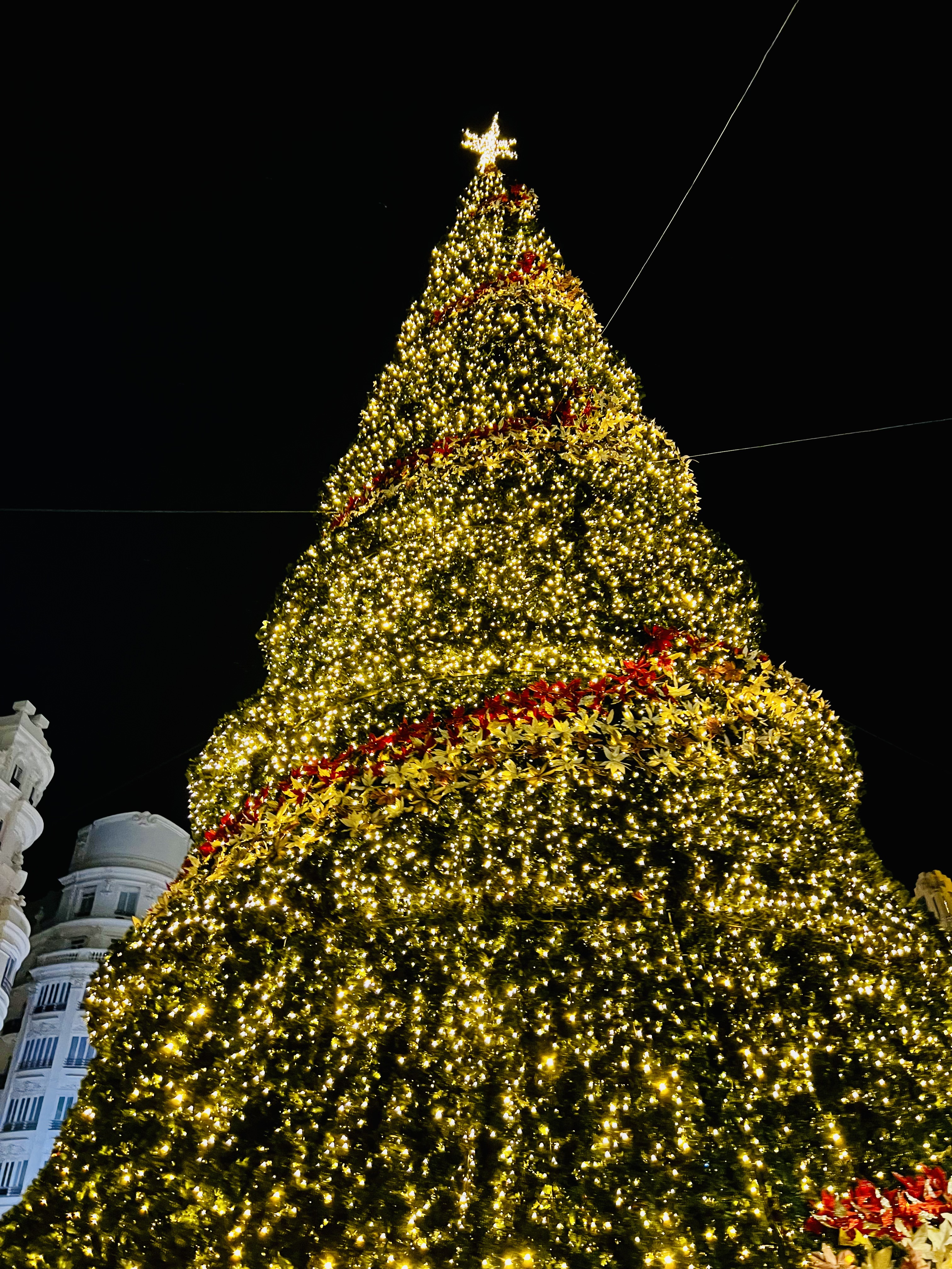 Img: christmas, christmas decorations, festival, christmas tree, architecture, building