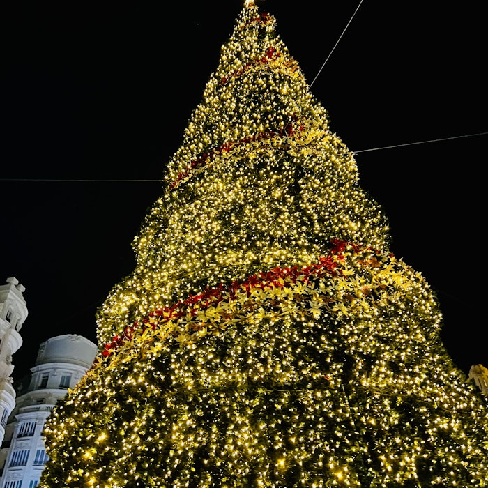 Img: christmas, christmas decorations, festival, christmas tree, architecture, building