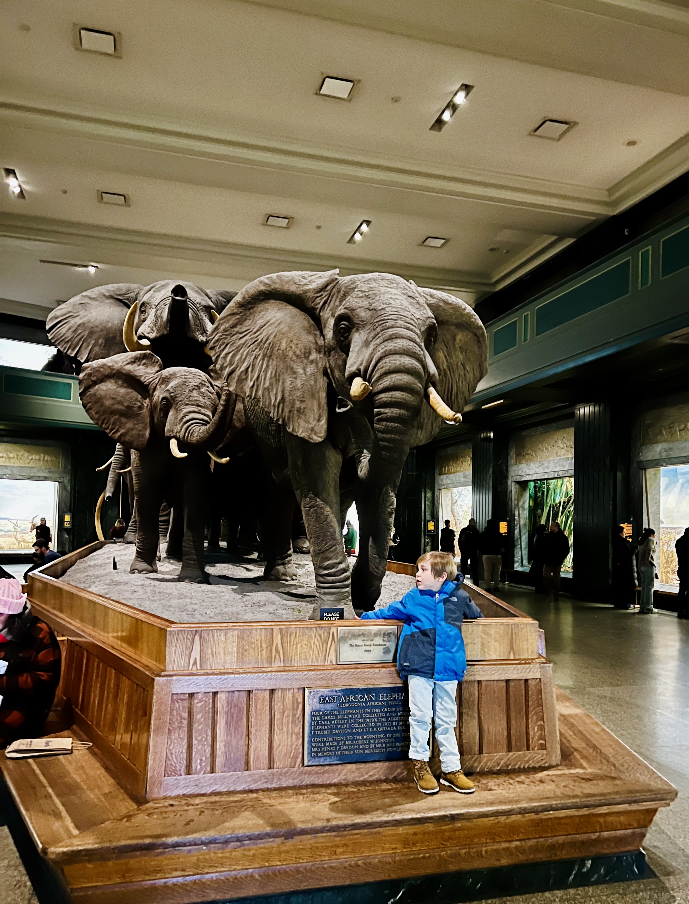 Img: indoors, museum, shoe, boy, child, male, person, wood, glove, hat