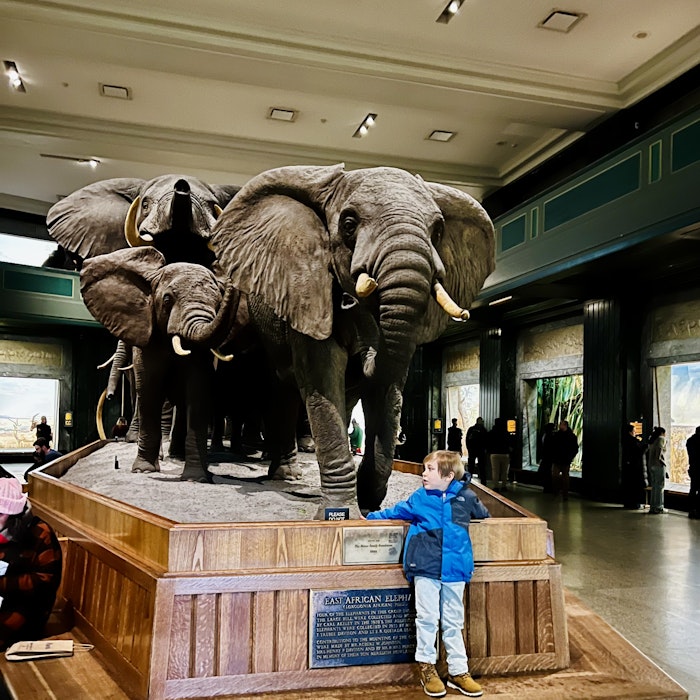 Img: indoors, museum, shoe, boy, child, male, person, wood, glove, hat