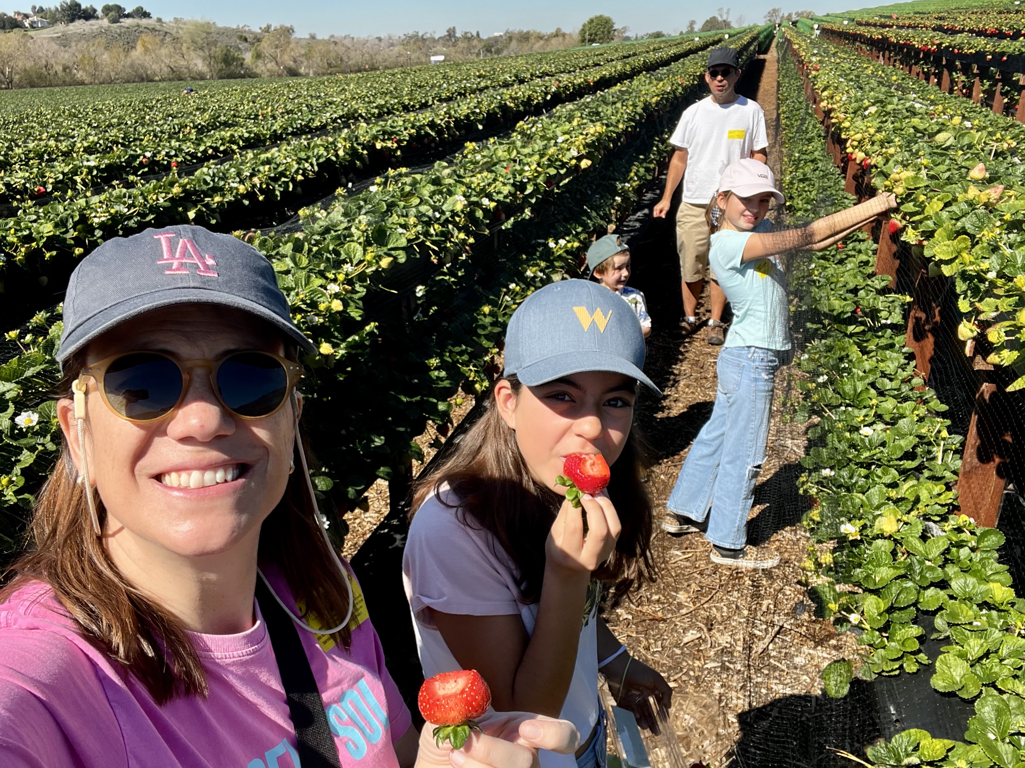 Img: strawberry, person, portrait, shoe, hat, nature, outdoors, glasses, agriculture, cap