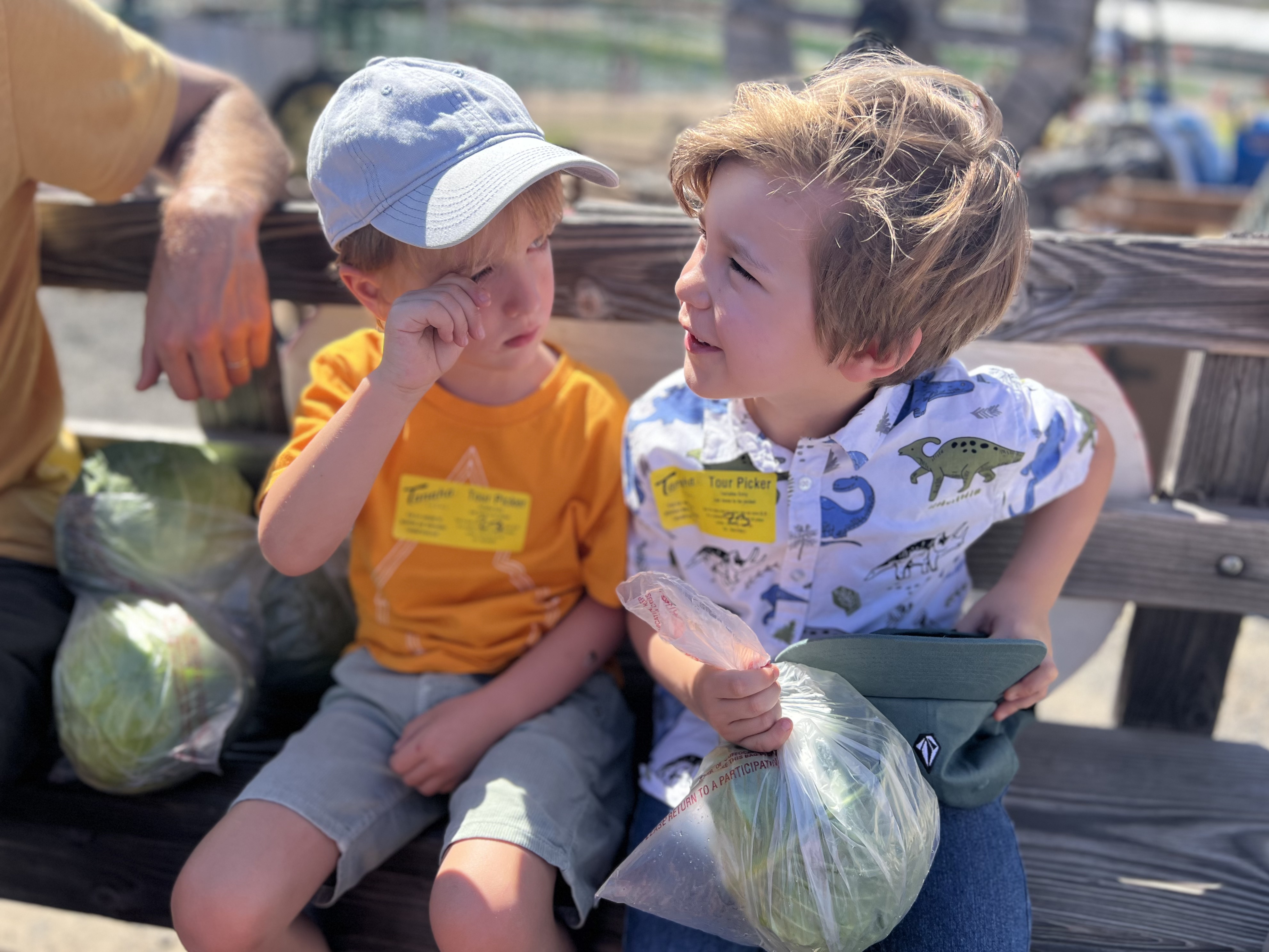 Img: hat, baseball cap, cap, person, face, head, photography, portrait, handbag, bench