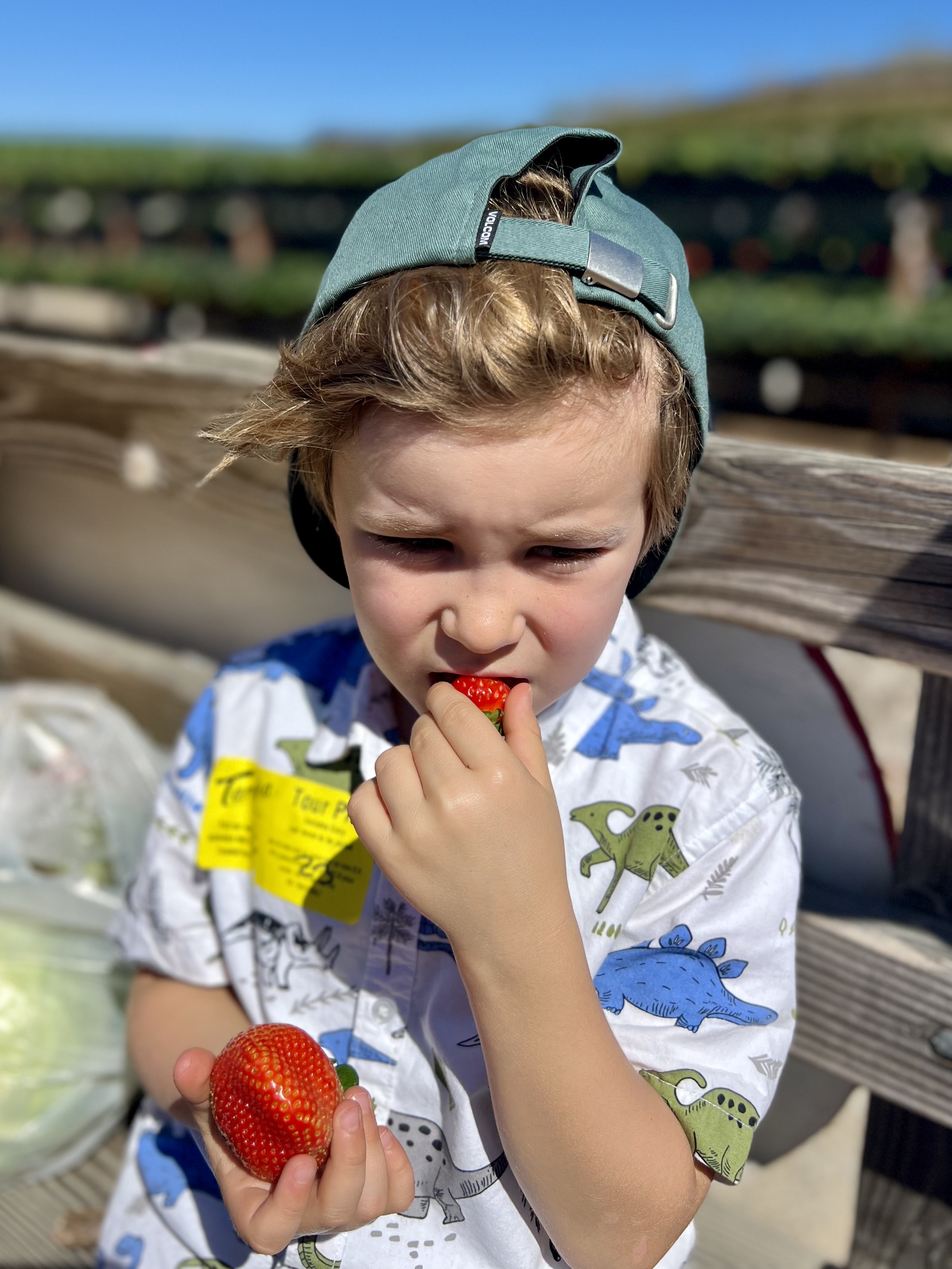 Img: head, person, face, biting, child, female, girl, clothing, hat, eating