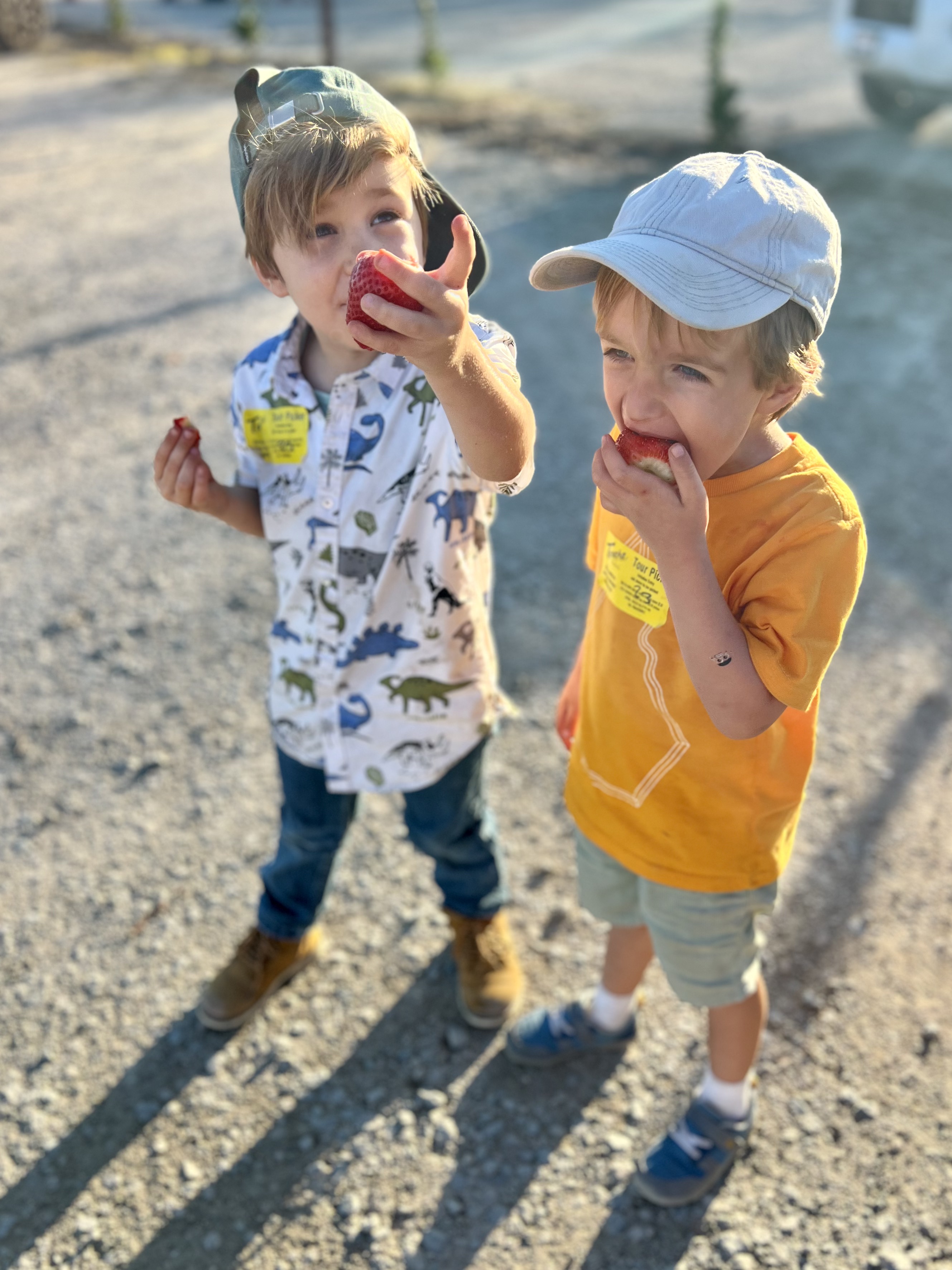 Img: shoe, hat, person, baseball cap, boy, child, male, head, face, pants