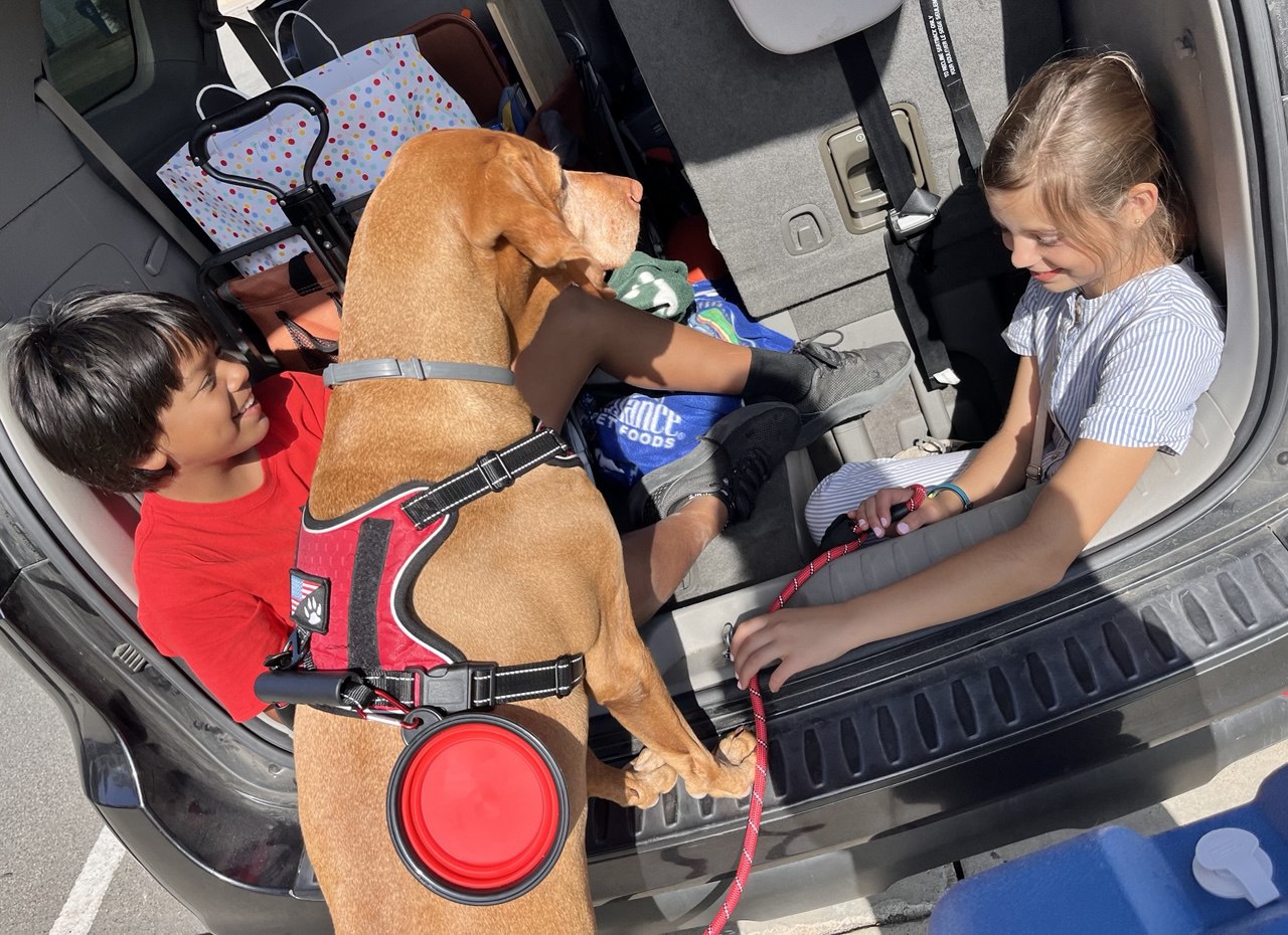 Img: footwear, shoe, person, adult, female, woman, bracelet, jewelry, bag, handbag