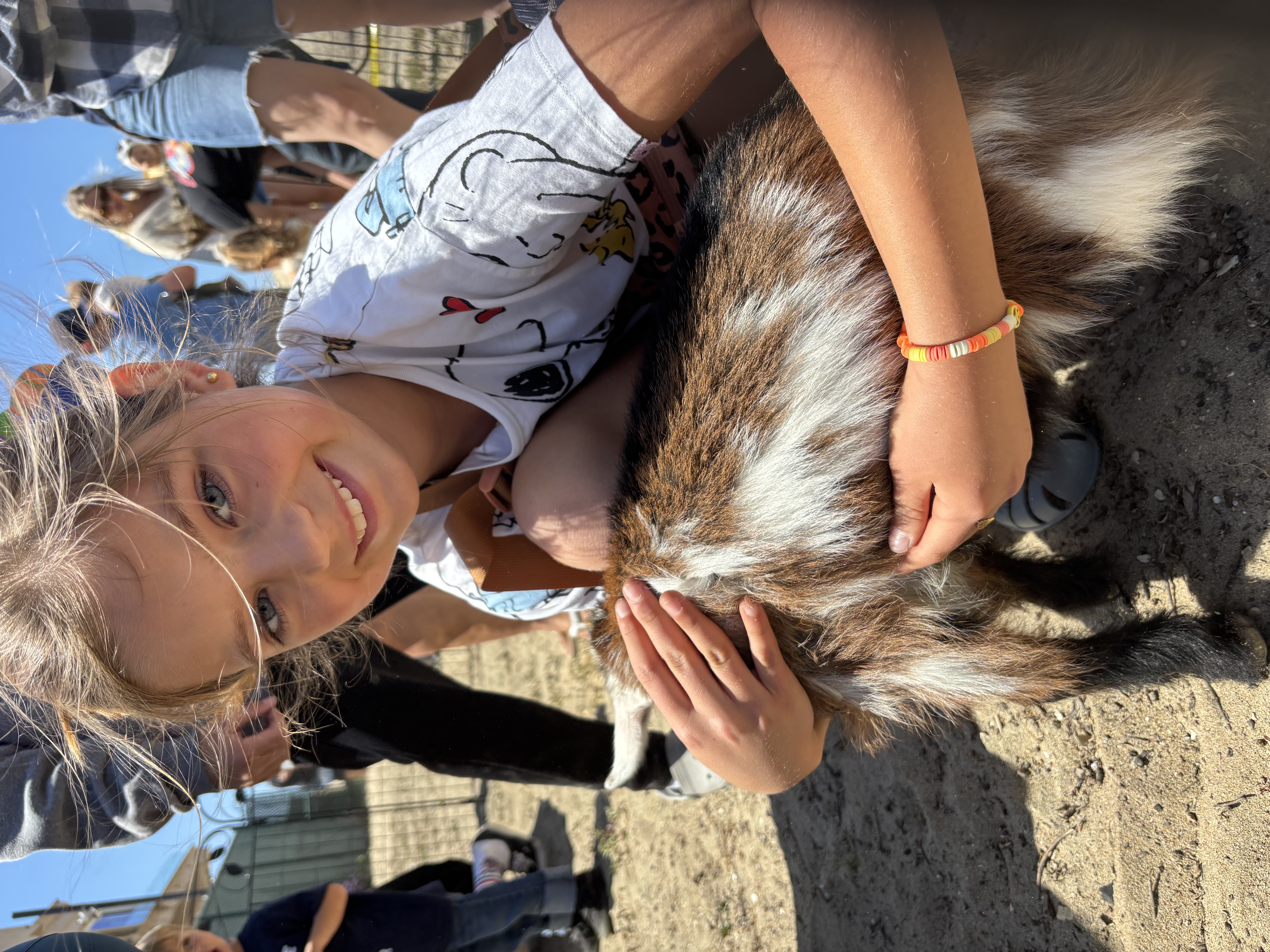 Img: bracelet, person, livestock, animal, goat, mammal, shoe, adult, female, woman