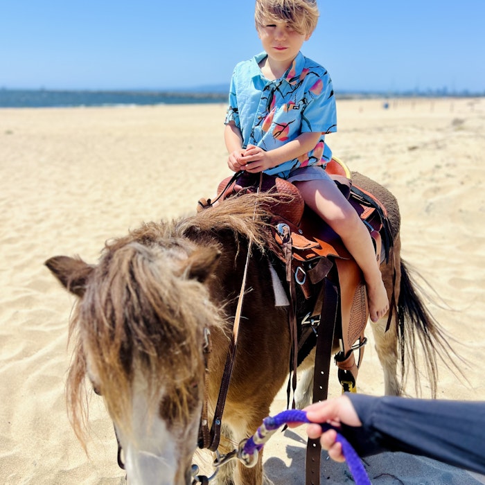 Img: photography, person, portrait, beach, nature, outdoors, sea, horse, mammal, horseback riding
