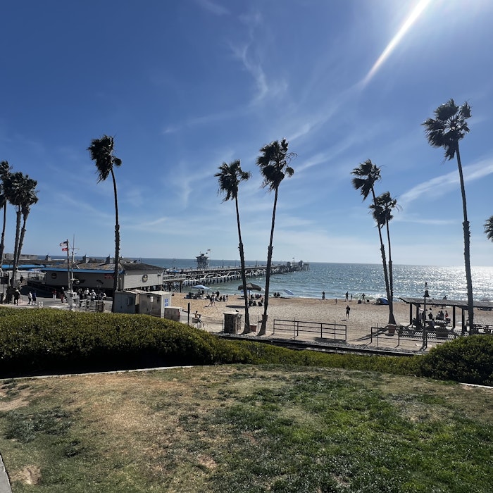 Img: nature, outdoors, scenery, waterfront, palm tree, tree, sky, landscape, sea, beach