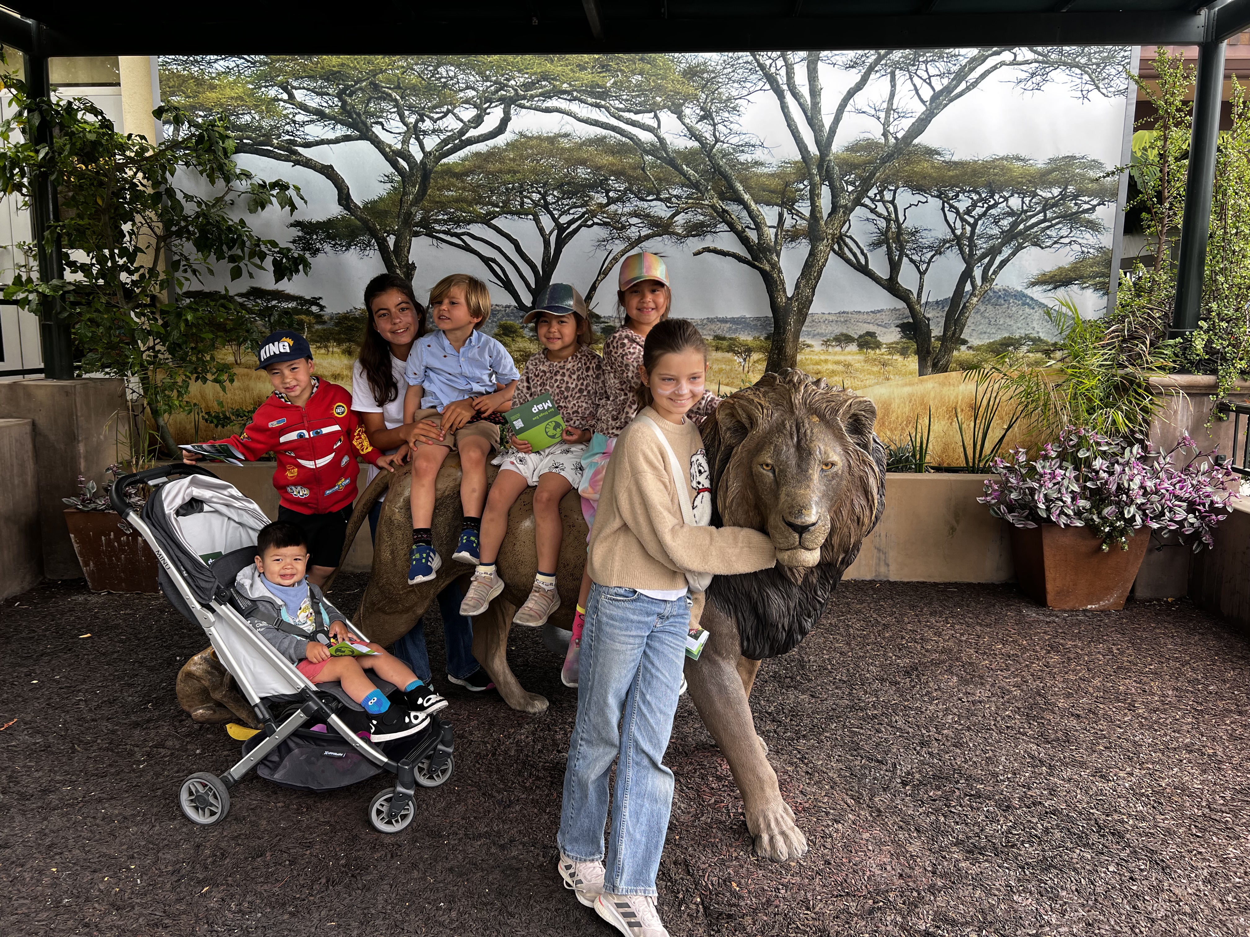 Img: potted plant, people, person, pants, shoe, helmet, portrait, hat, baby, woman