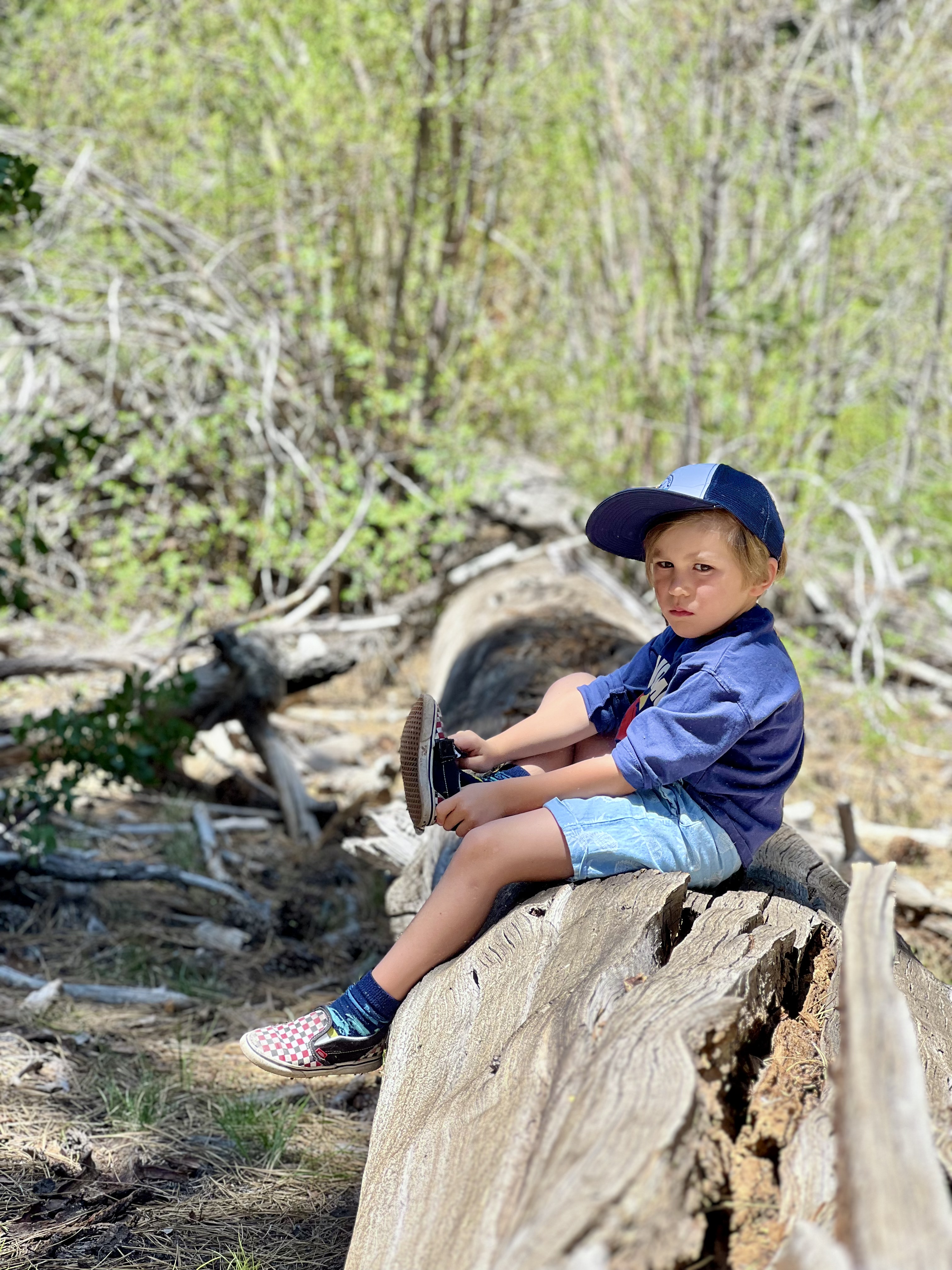 Img: tree, person, sitting, wood, rock, photography, portrait, baseball cap, wilderness, shoe