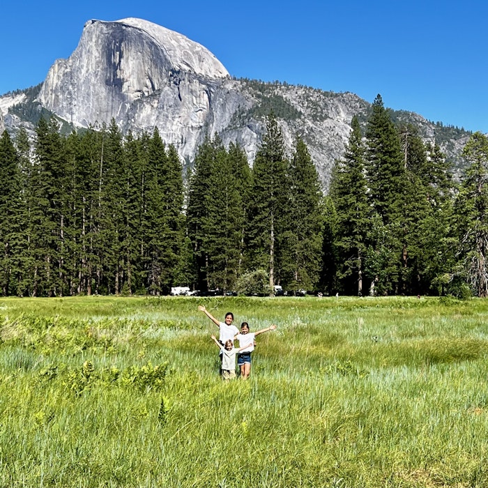 Img: wilderness, grass, tree, grassland, vegetation, landscape, peak, scenery, grove, land