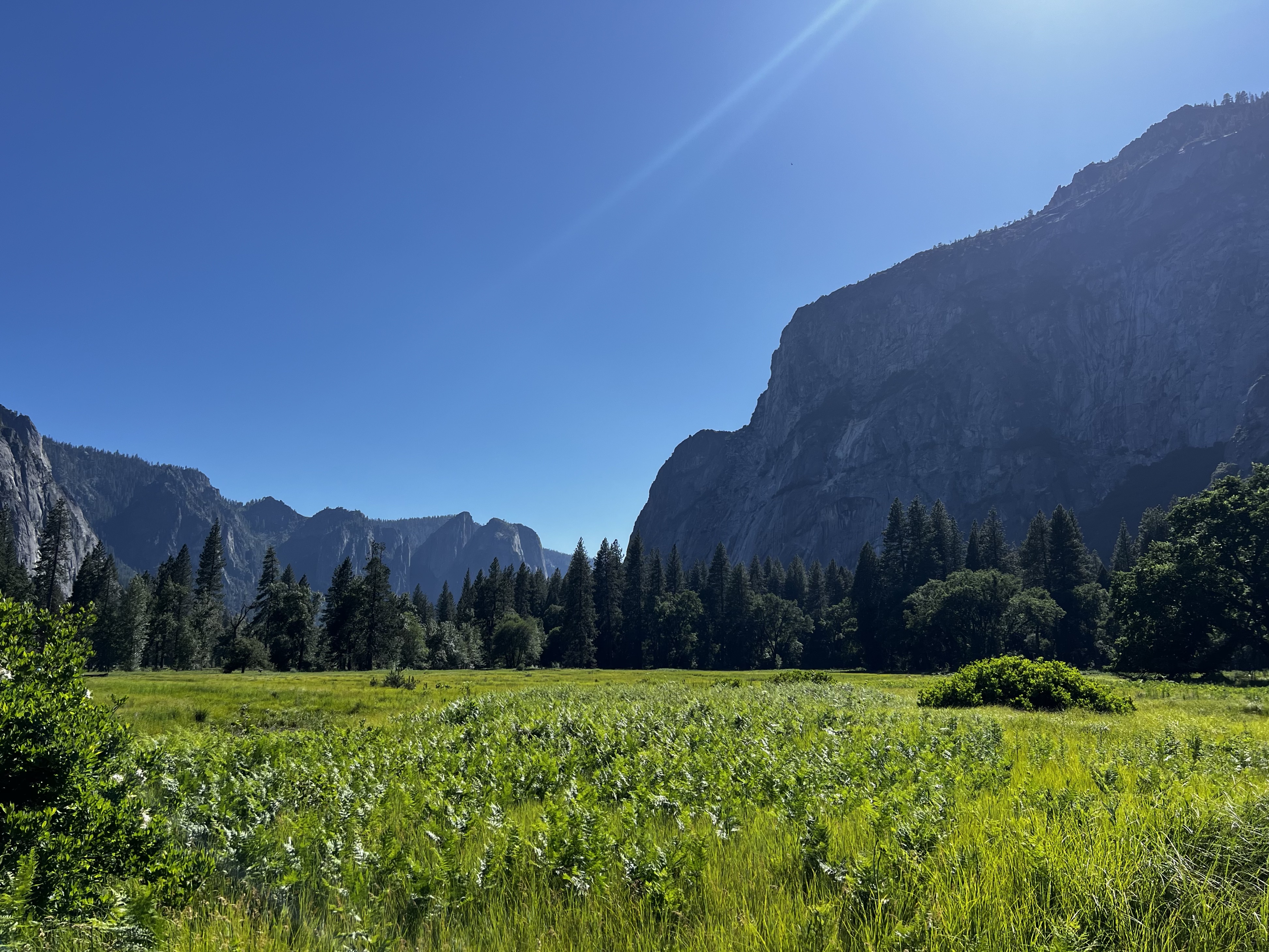 Img: nature, outdoors, scenery, landscape, field, grassland, vegetation, tree, grass, meadow