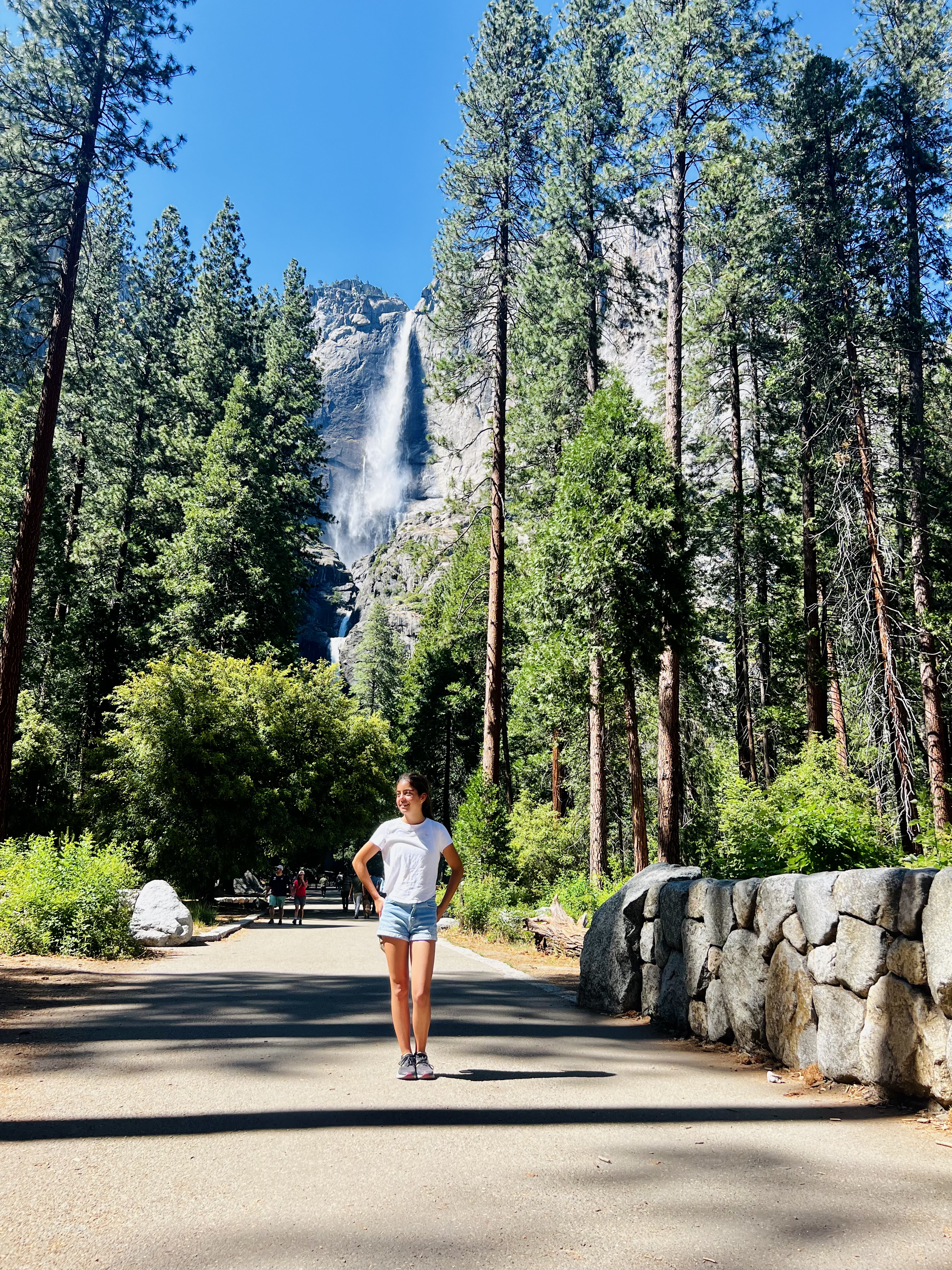 Img: person, walking, plant, vegetation, grove, tree, woodland, clothing, shorts, shoe