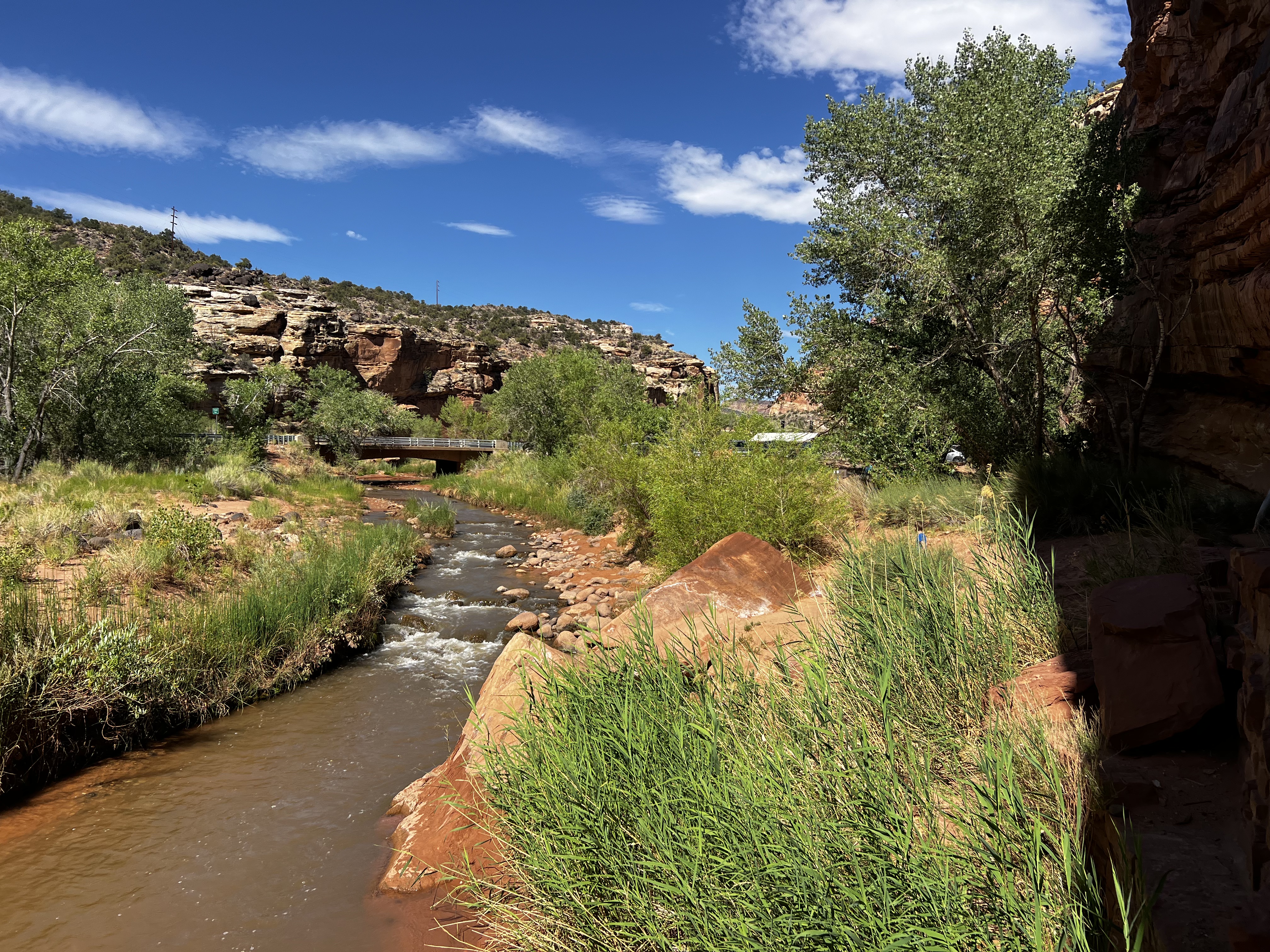 Img: nature, outdoors, wilderness, rock, vegetation, creek, stream, water, scenery, path