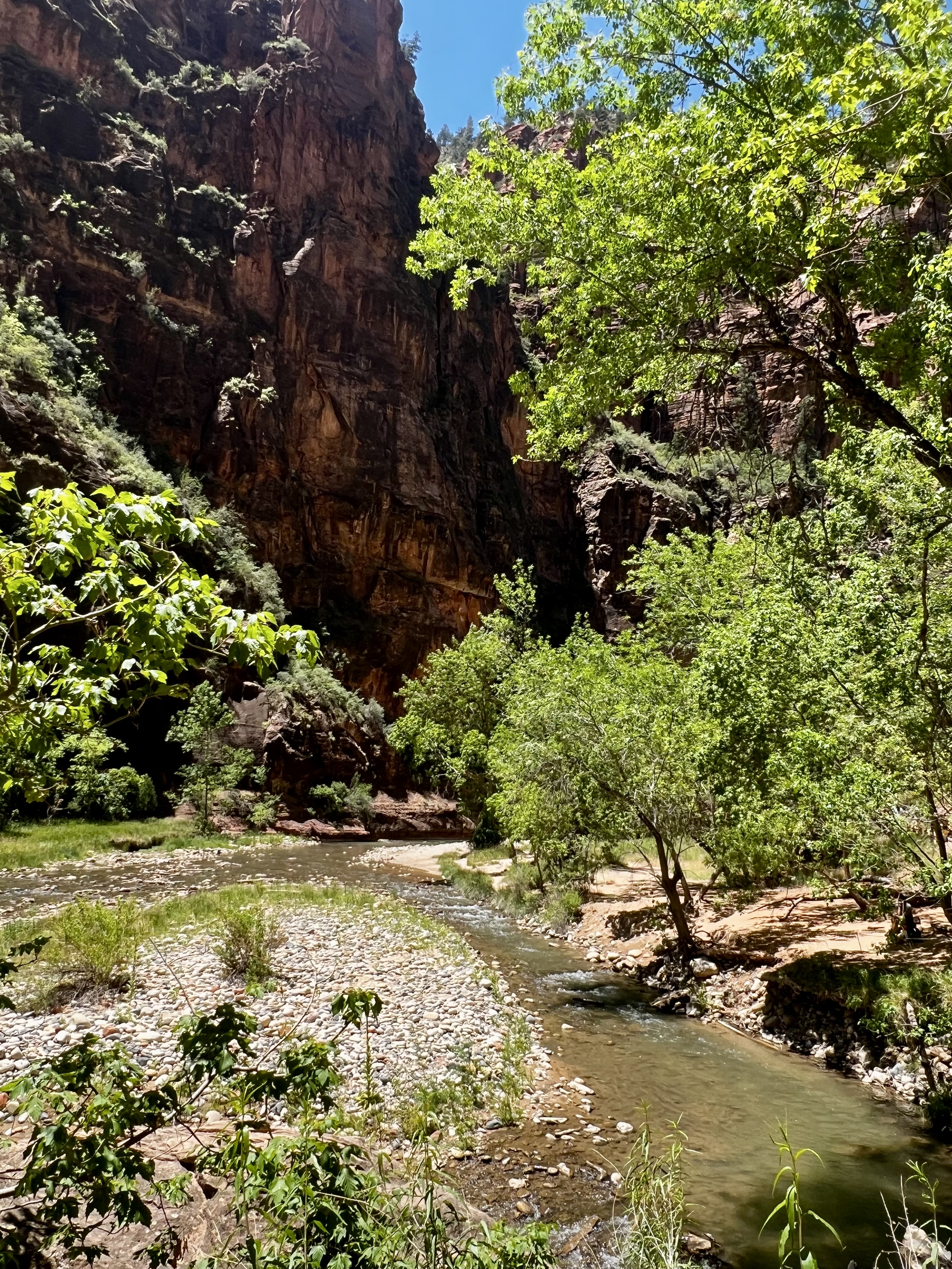 Img: nature, outdoors, wilderness, mountain, valley, vegetation, rock, creek, stream, canyon