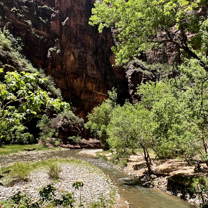 Img: nature, outdoors, wilderness, mountain, valley, vegetation, rock, creek, stream, canyon