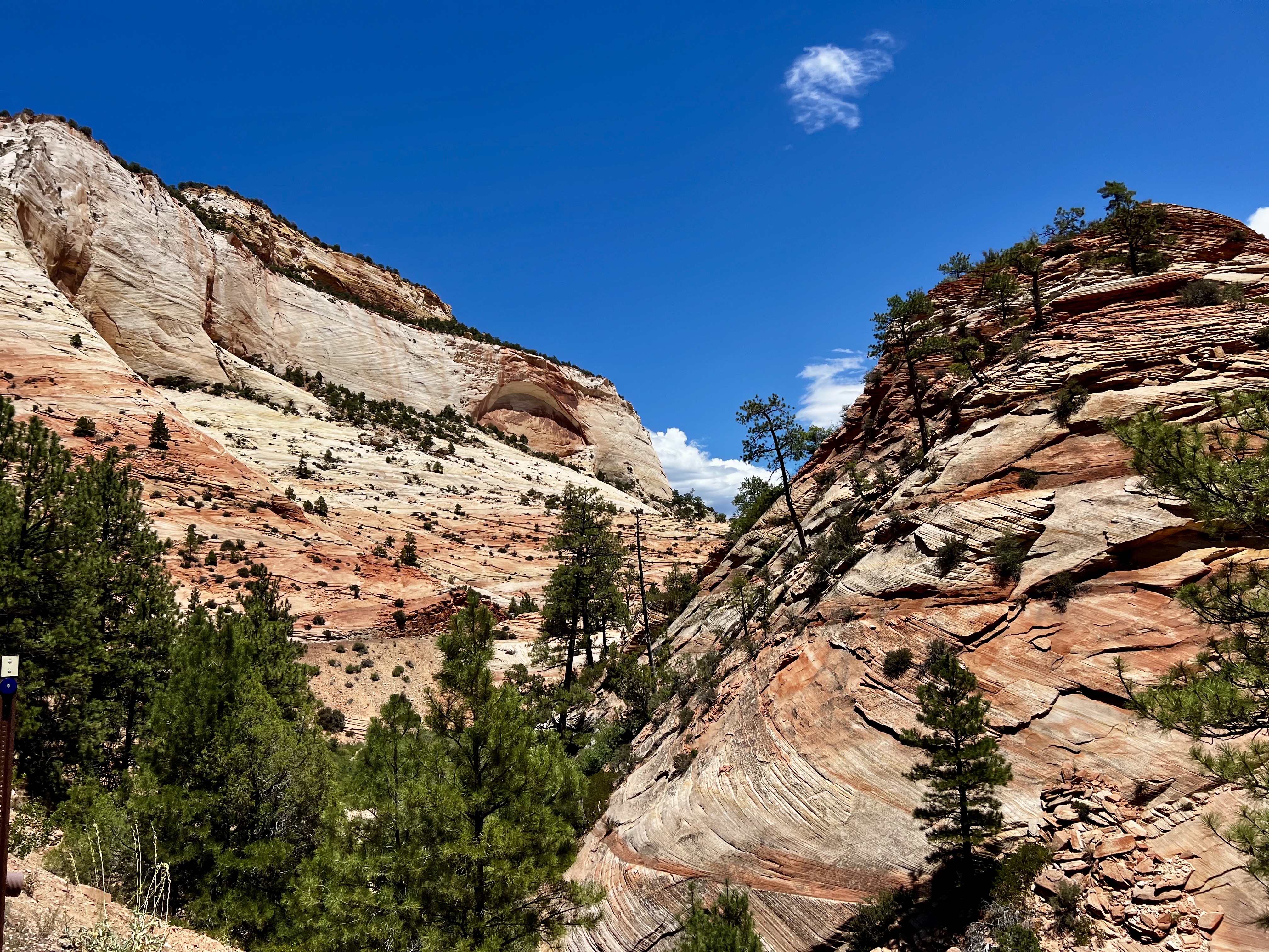 Img: rock, nature, outdoors, wilderness, tree, vegetation, cliff, slope, mountain, scenery