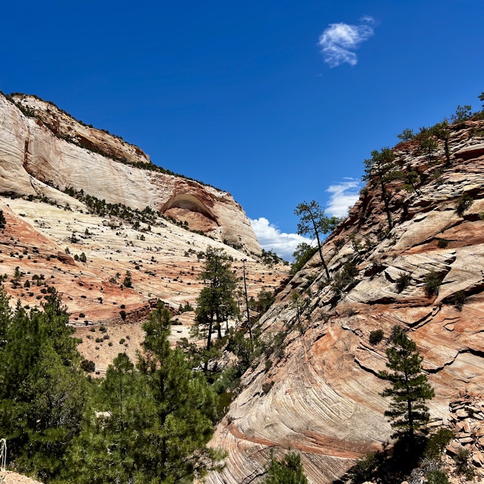 Img: rock, nature, outdoors, wilderness, tree, vegetation, cliff, slope, mountain, scenery