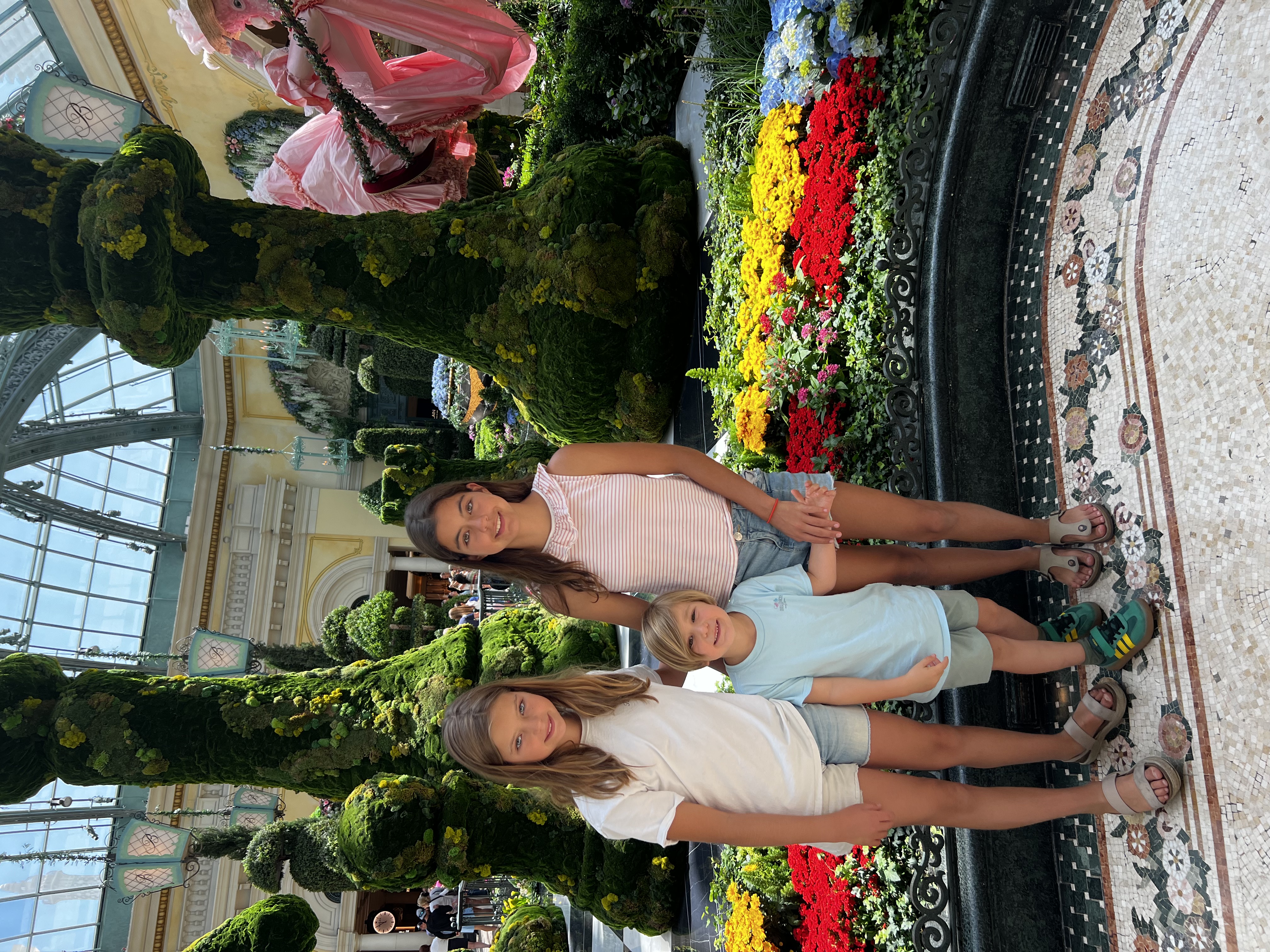 Img: potted plant, garden, person, photography, portrait, grass, park, child, female, girl