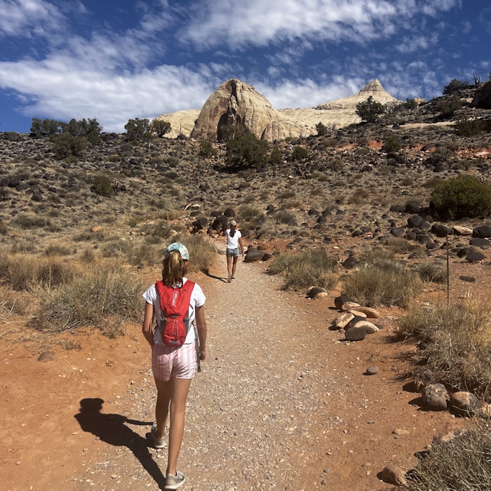Img: hiking, person, bag, shoe, wilderness, backpack, female, girl, teen, walking