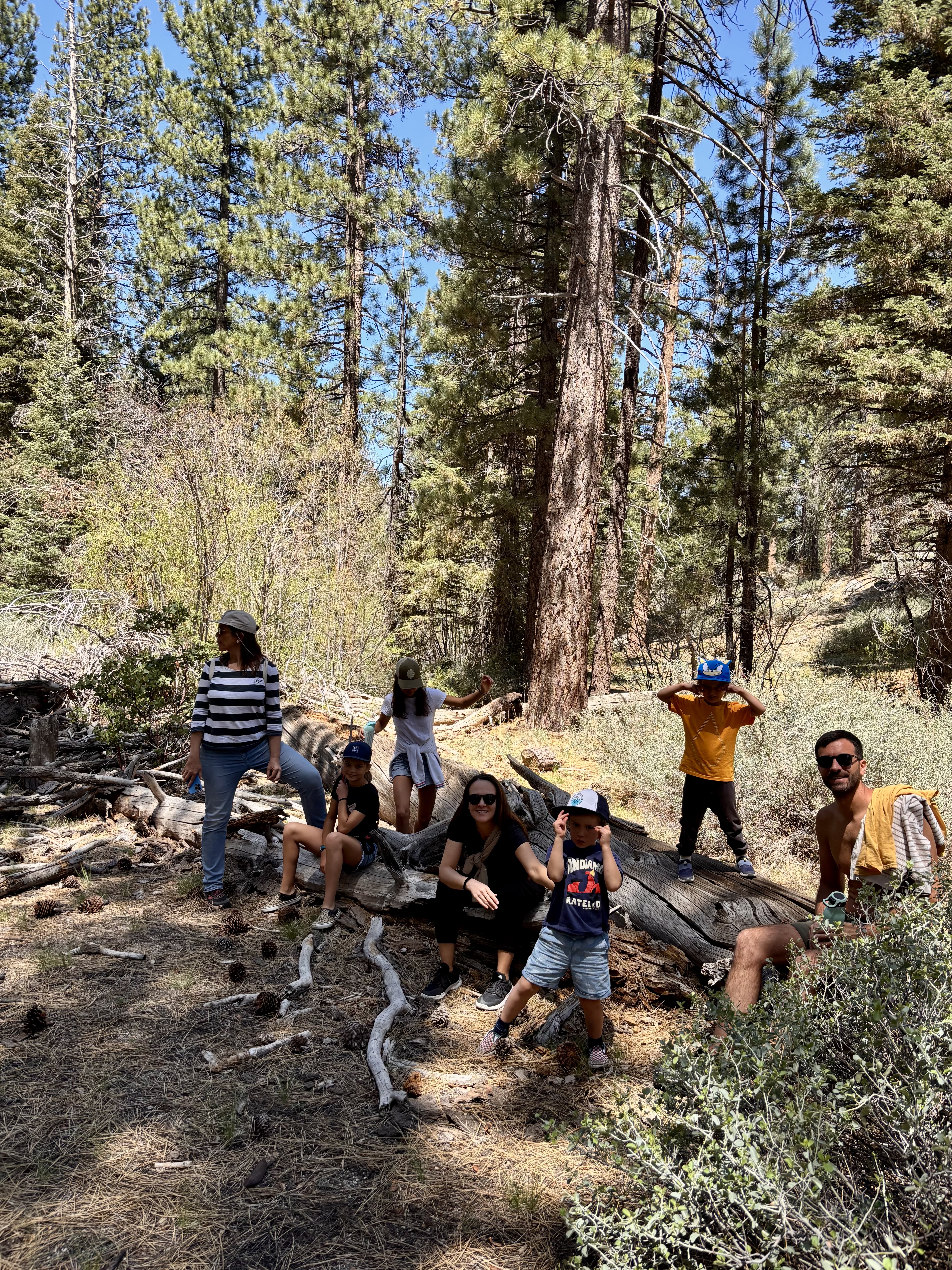Img: hiking, person, vegetation, adult, female, woman, bag, wilderness, male, man