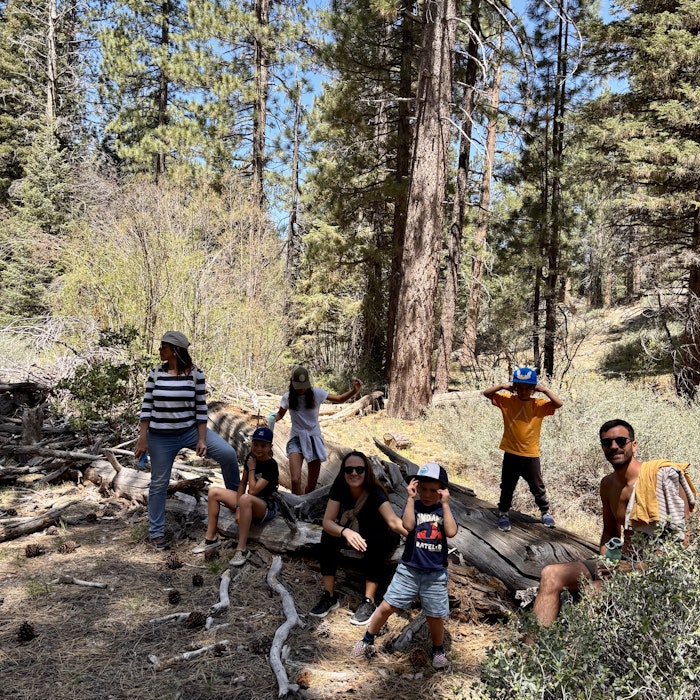 Img: hiking, person, vegetation, adult, female, woman, bag, wilderness, male, man