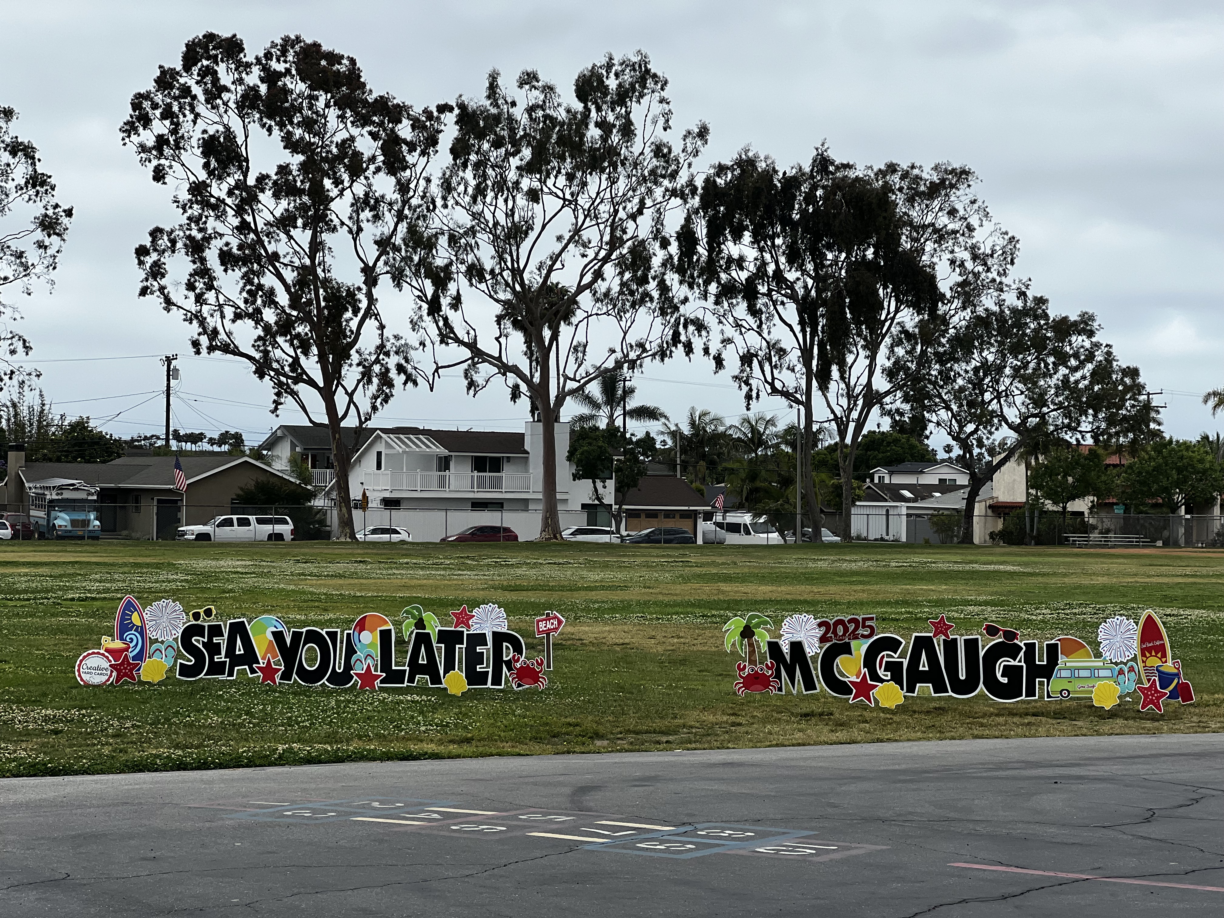 Img: neighborhood, grass, plant, suburb, car, transportation, vehicle, city, outdoors