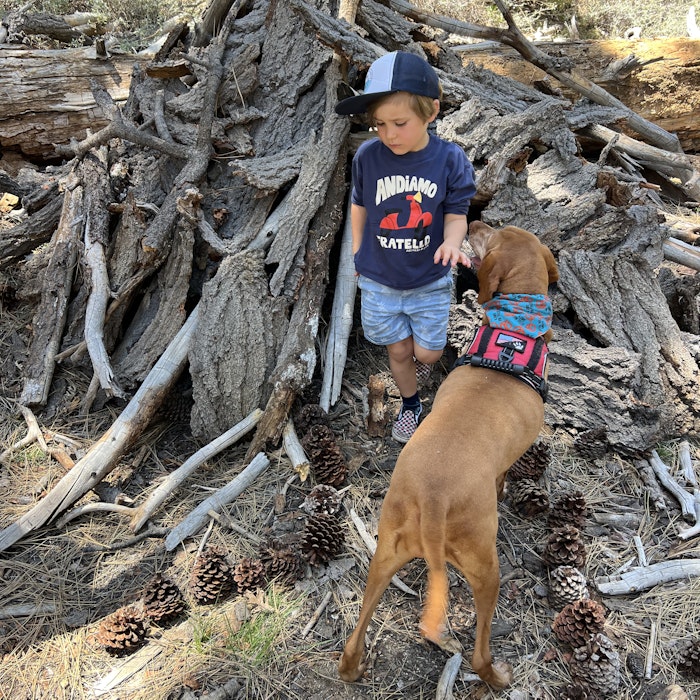 Img: wood, person, photography, portrait, t-shirt, hat, baseball cap, wilderness, boy, child