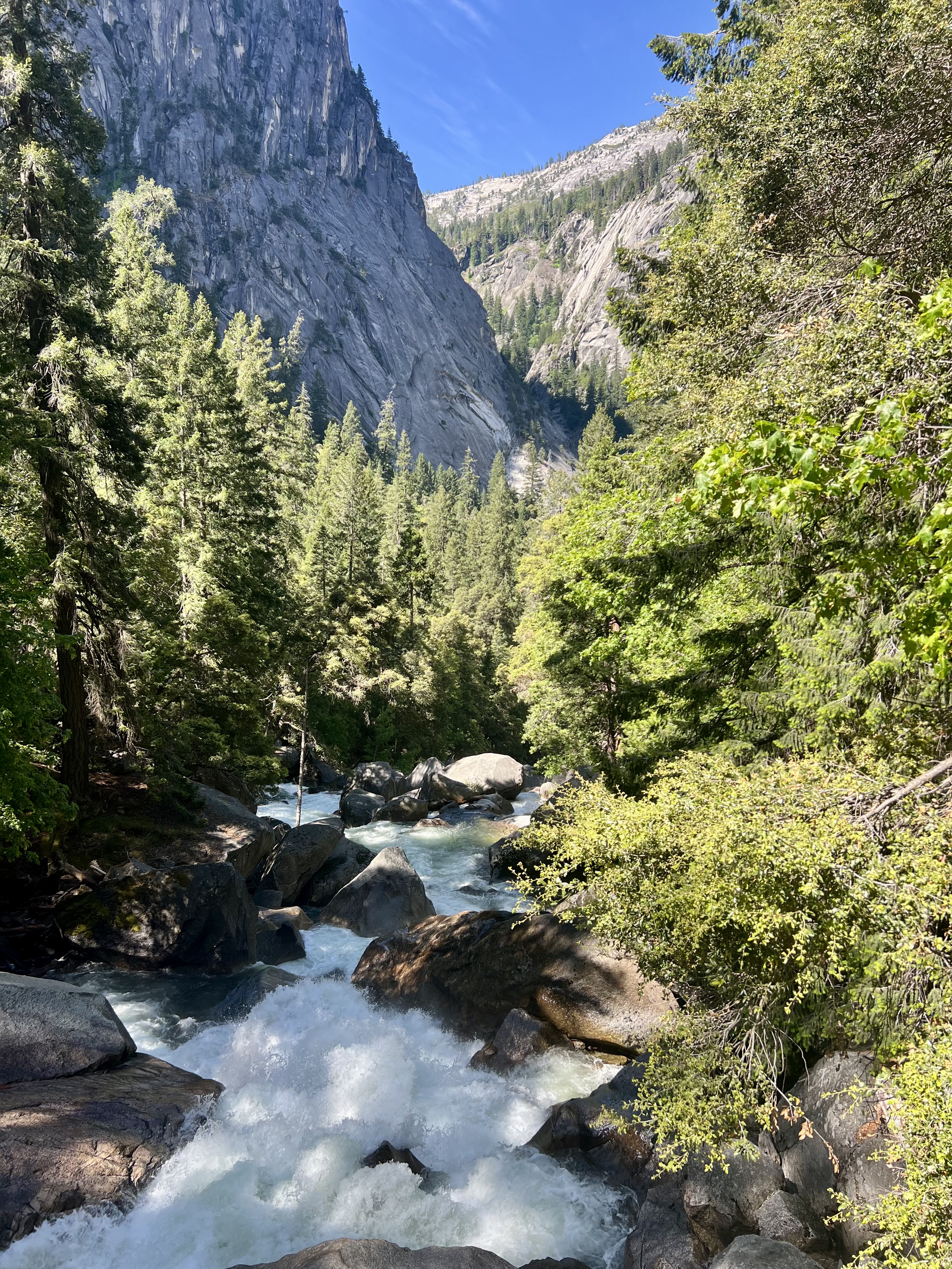 Img: nature, outdoors, vegetation, wilderness, stream, water, tree, woodland, creek, rainforest