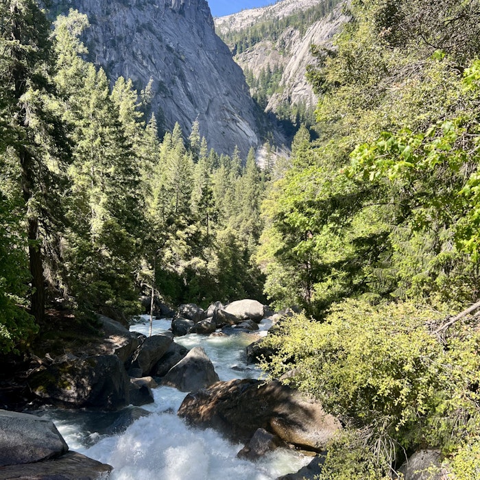 Img: nature, outdoors, vegetation, wilderness, stream, water, tree, woodland, creek, rainforest