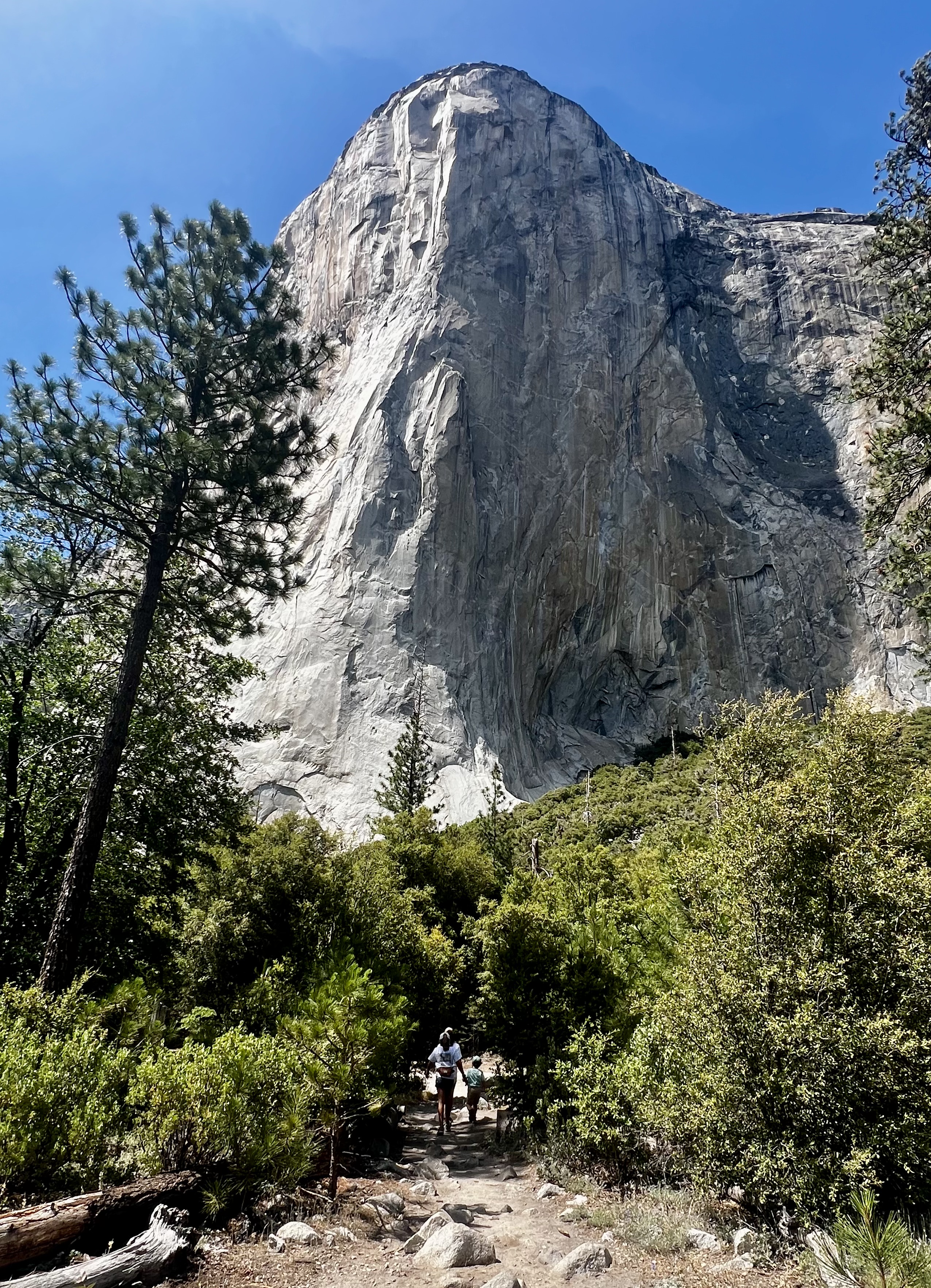 Img: nature, outdoors, wilderness, tree, vegetation, rock, person, peak, cliff, hiking