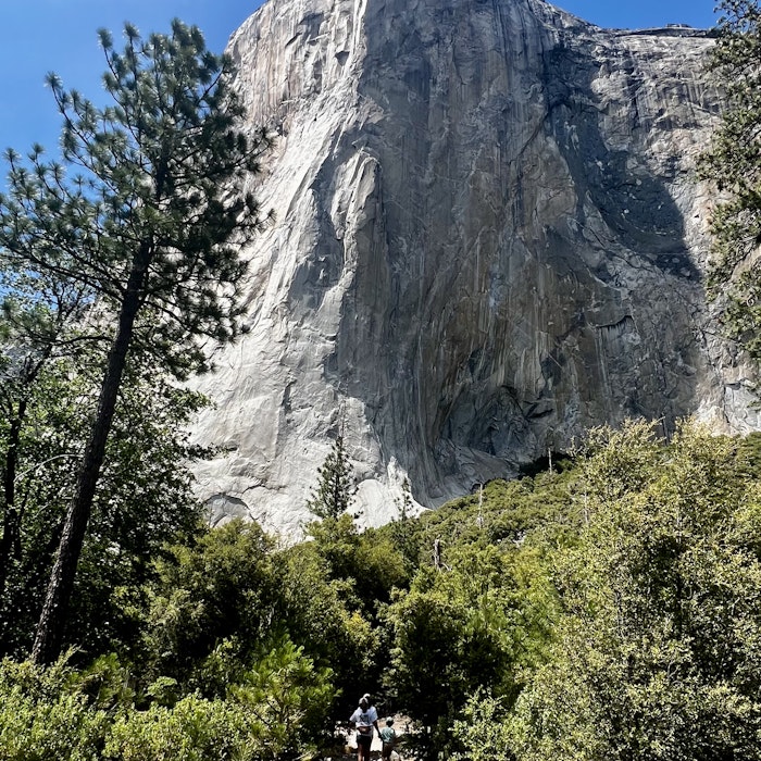 Img: nature, outdoors, wilderness, tree, vegetation, rock, person, peak, cliff, hiking