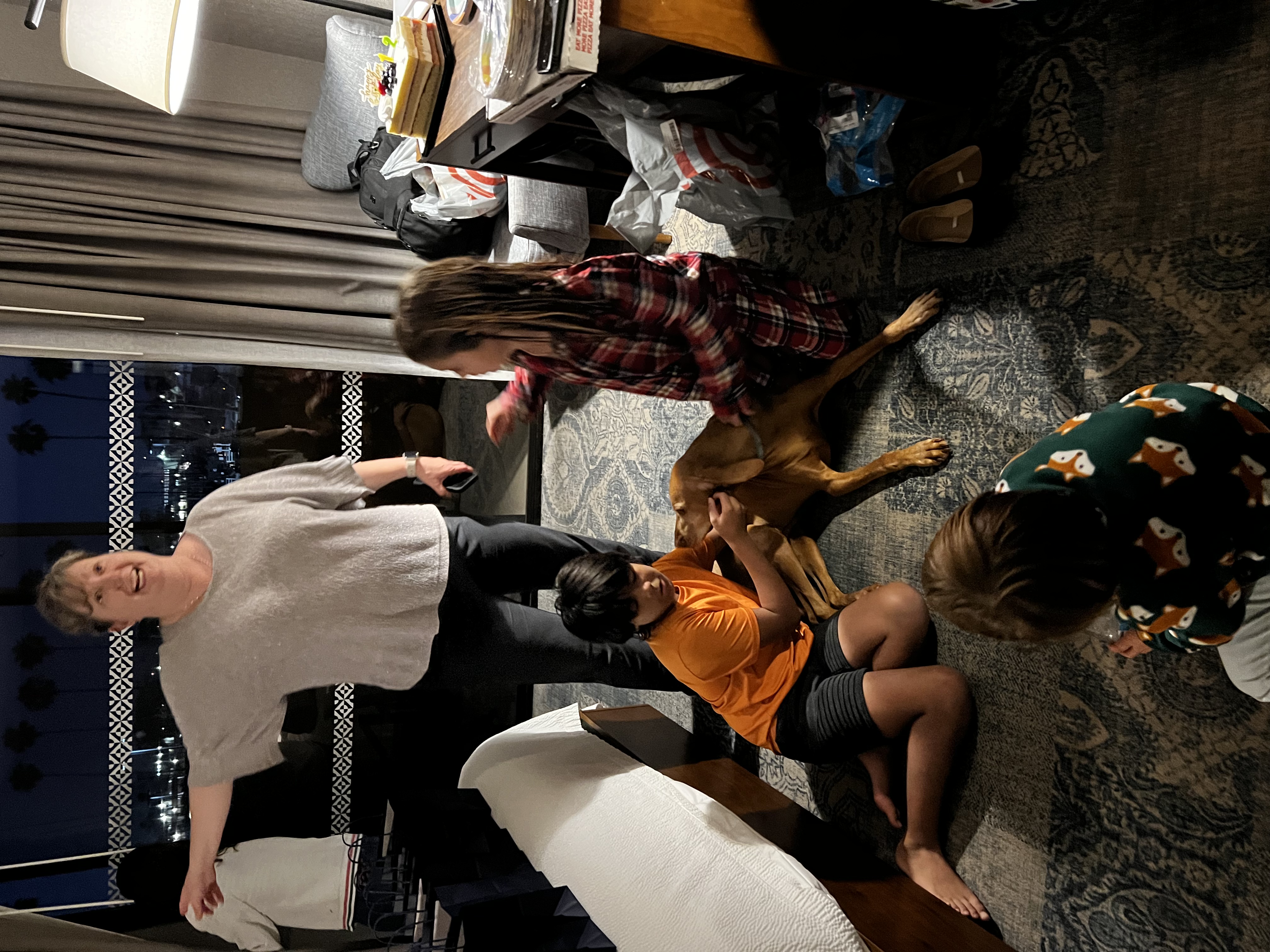 Img: person, couch, shoe, handbag, dog, adult, female, woman, photography, people