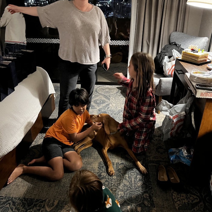 Img: person, couch, shoe, handbag, dog, adult, female, woman, photography, people